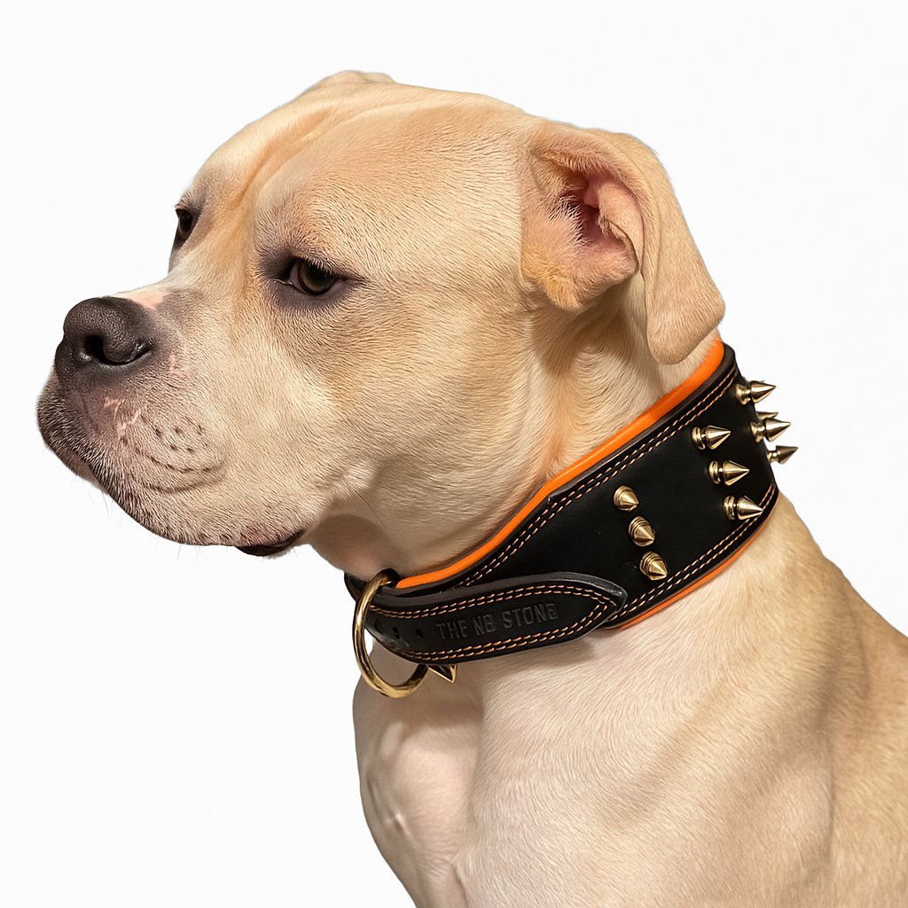 THE K9 STORE Premium Leather Dog Collar with Brass Spikes for Large & XL Dogs | Heavily Padded Cushion | Wide 2.25 Inch Collar for Strong Breeds | Adjustable Neck 18.5–26.5 Inch | Luxury Studded Dog Collar