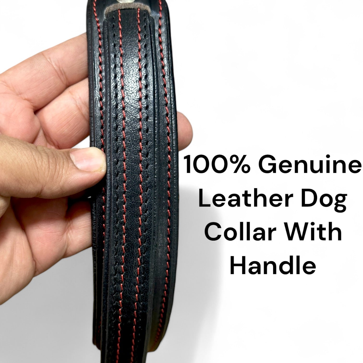 The K9 Store 100% Highgrade Leather Bold Dog Neck Collar For Training With Extra Handle - Zoey's Special (Black)