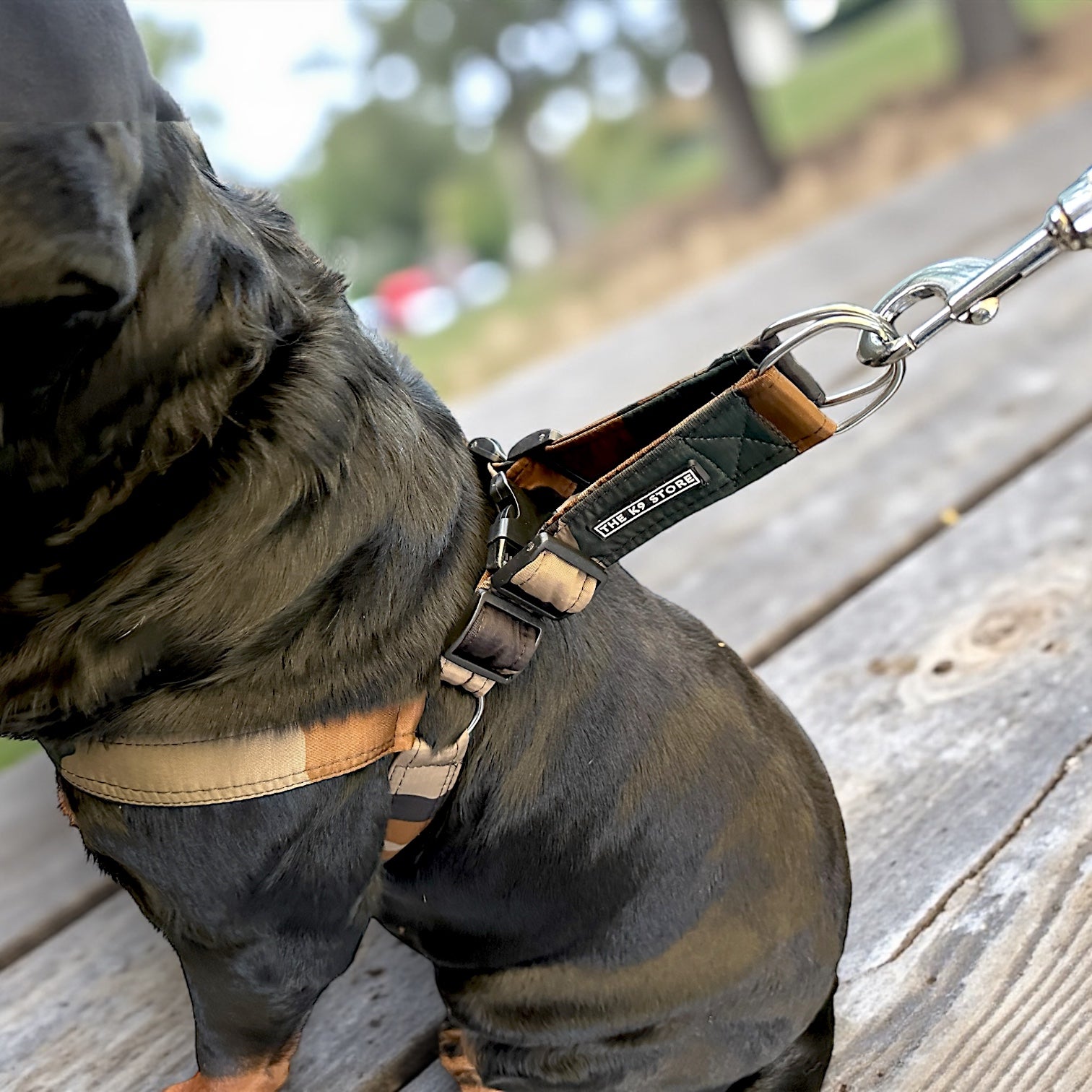 Military Dog Harness Set with Leash – Durable, Adjustable, 4 Sizes – Perfect for Outdoor Adventures