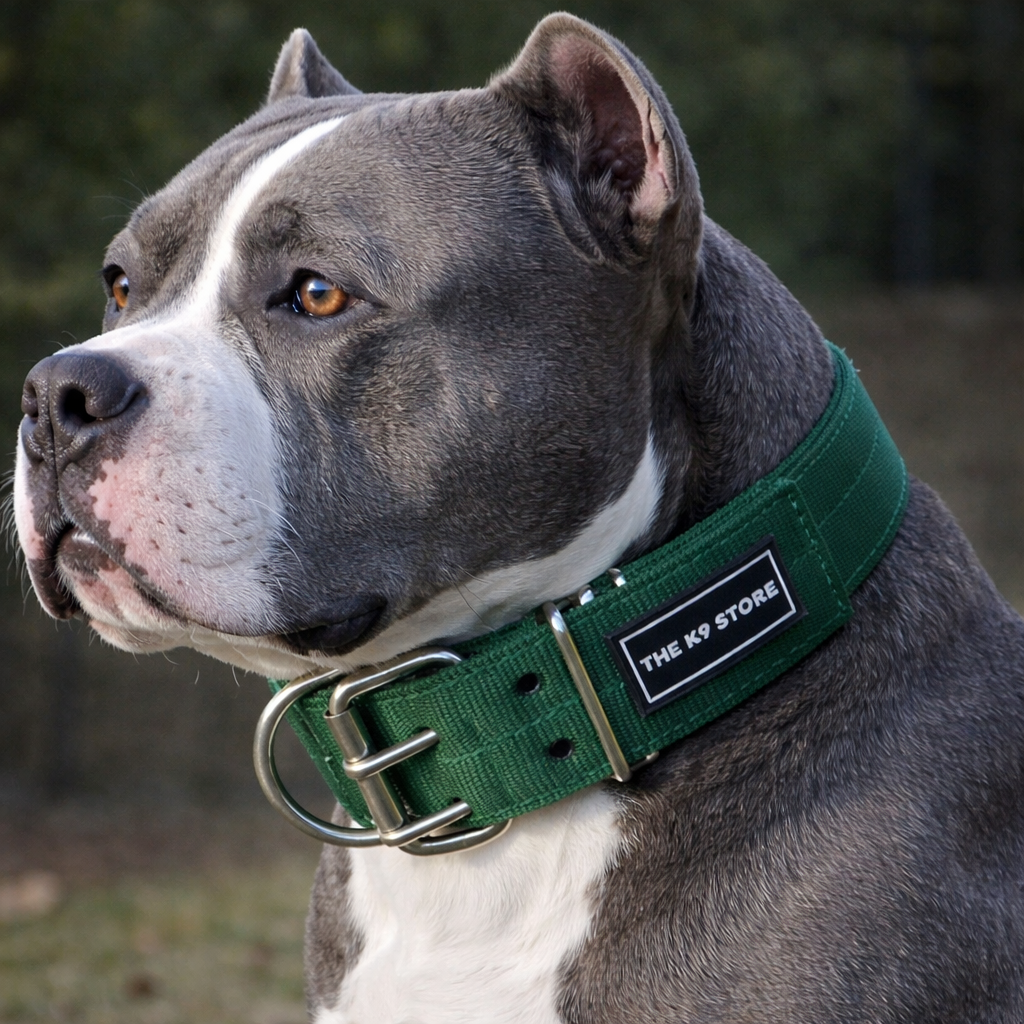Heavy Duty Dog Collar for Medium & Large Dogs (15–21 Inch Neck) | 2 Inch Wide Nylon K9 Training Collar with Dual Metal D-Ring | Adjustable Strong Pet Collar