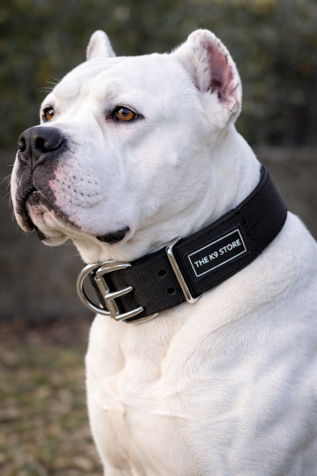 Heavy Duty Adjustable Dog Collar 18–28 Inch – Premium Nylon K9 Training Collar with Dual Metal D-Ring & Strong Buckle for Large & Medium Dogs