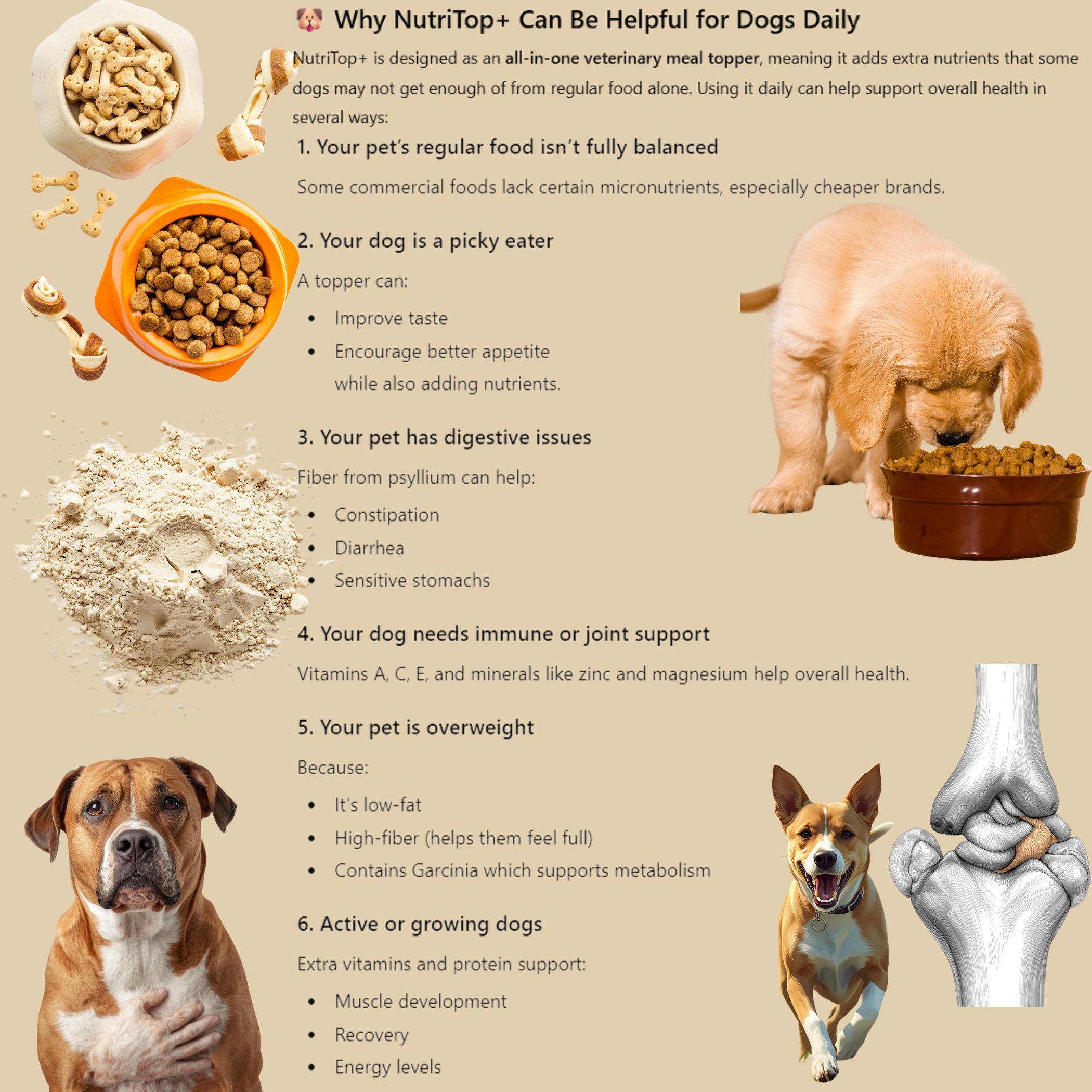 NutriTop+ All-In-One Veterinary Meal Topper for Dogs & Cats | High Protein, Fiber, Vitamins & Digestive Support - 100 G