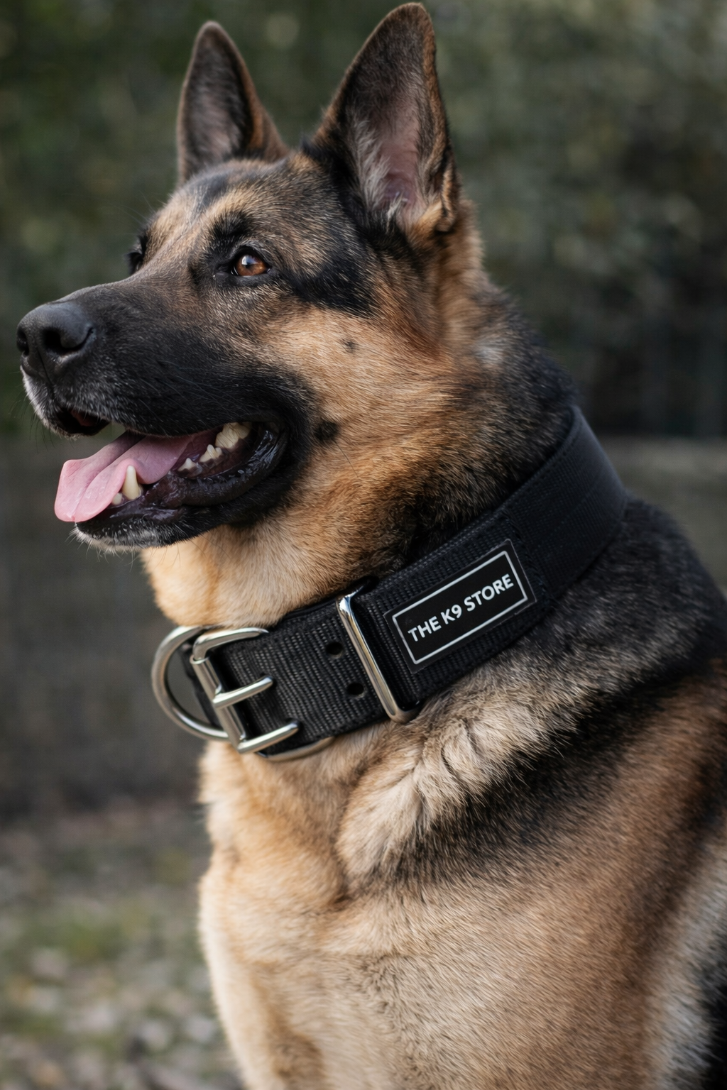 Heavy Duty Adjustable Dog Collar 18–28 Inch – Premium Nylon K9 Training Collar with Dual Metal D-Ring & Strong Buckle for Large & Medium Dogs