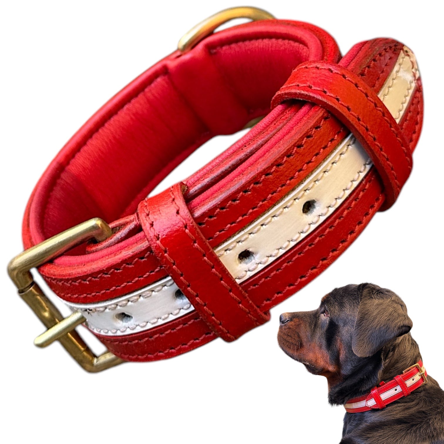 The K9 Store 100% Highgrade Leather Dual Tone Designer Dog Neck Collar (Red & White)
