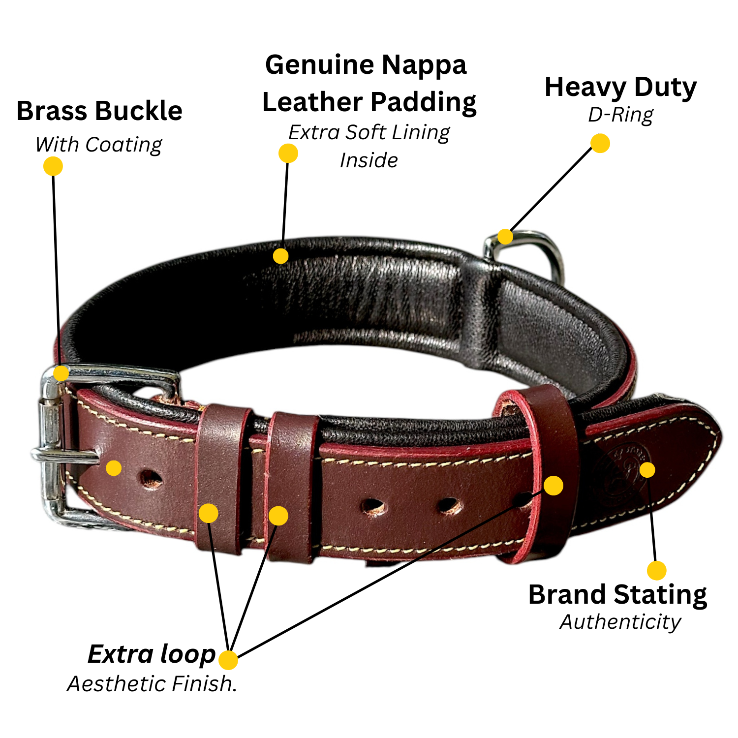 Adjustable leather dog collar in chocolate