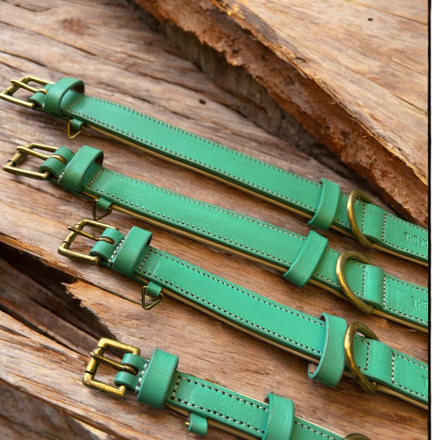 The K9 Store 100% Highgrade Leather Colored Basic Dog Neck Collar (Green/Mint)