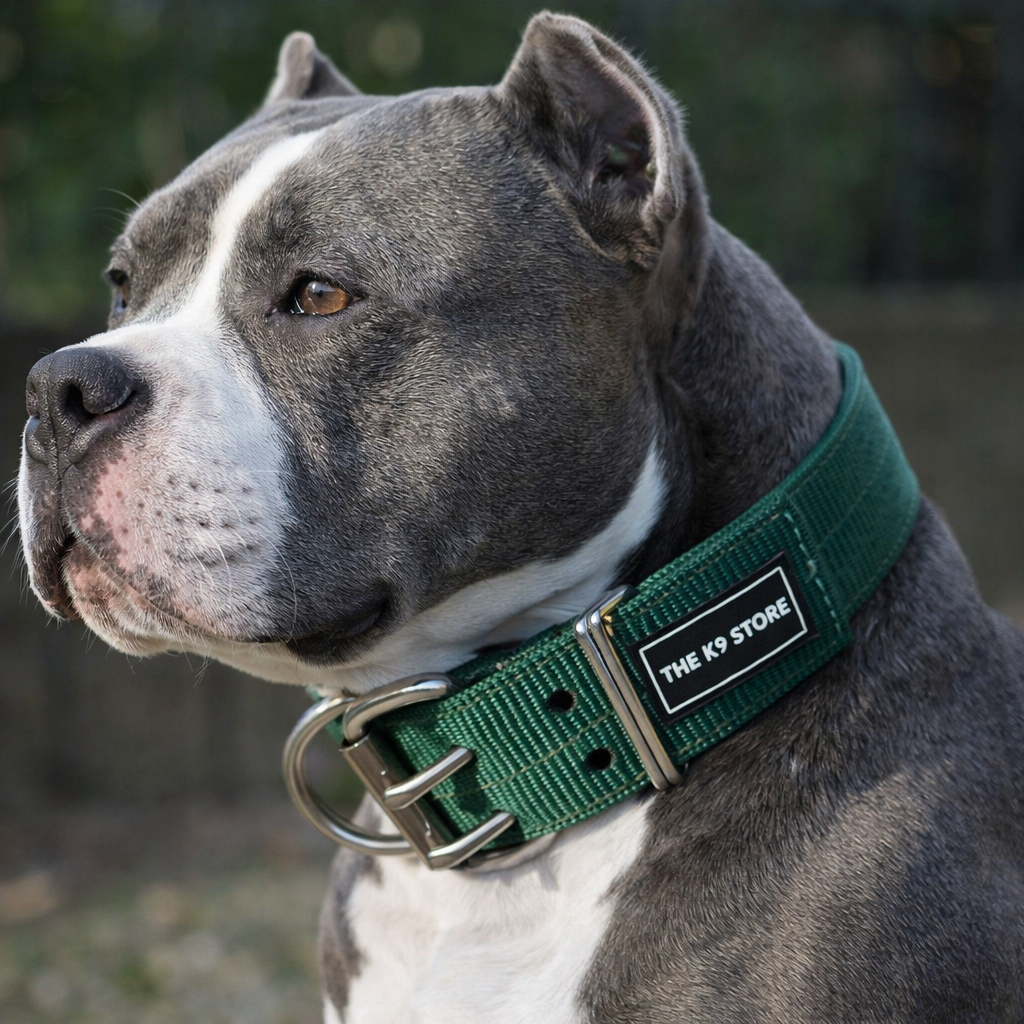 Heavy Duty Dog Collar for Medium & Large Dogs (15–21 Inch Neck) | 2 Inch Wide Nylon K9 Training Collar with Dual Metal D-Ring | Adjustable Strong Pet Collar