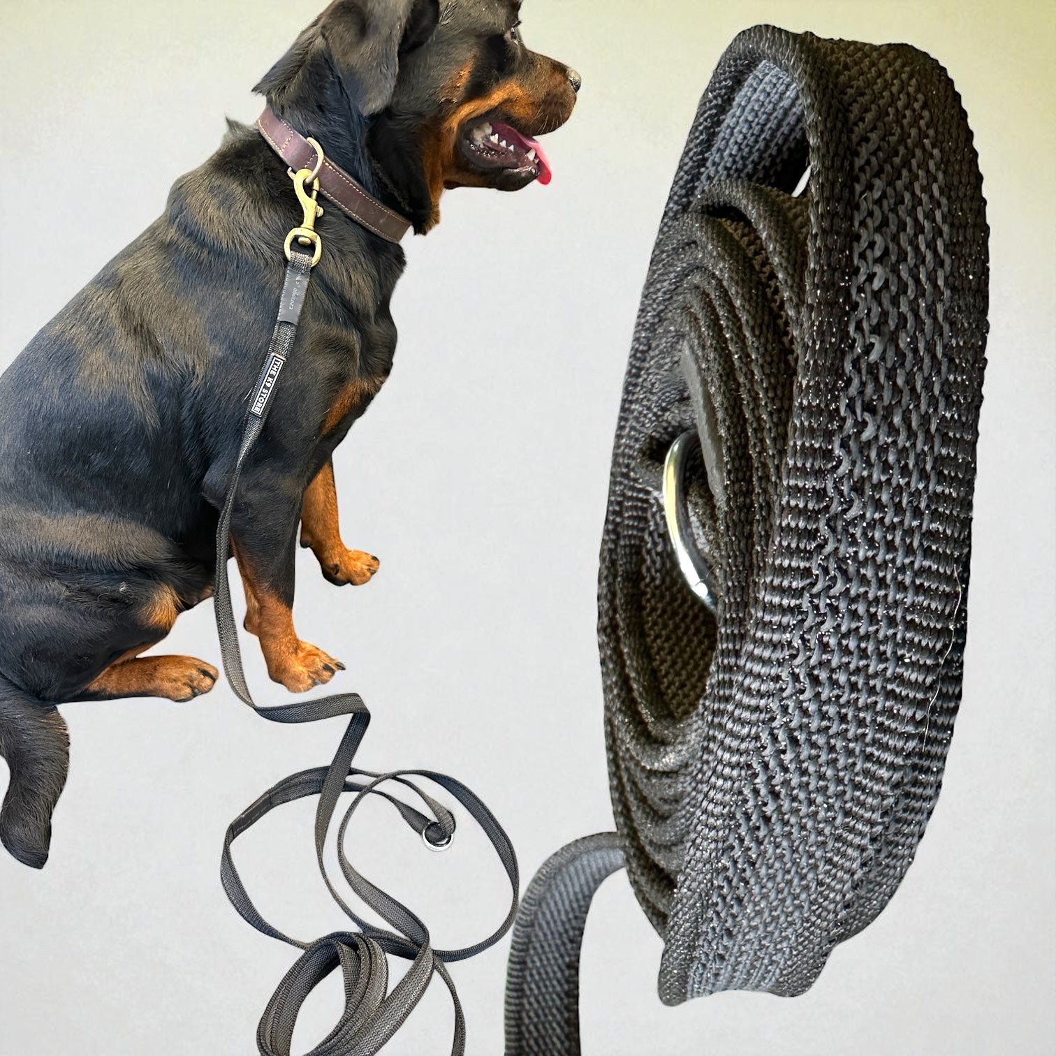 The K9 Store Anti-Slippery Dog Training Leash, Belt for Dogs Walk - World Class Trainers Choice Dog Leash in 5, 10, 15 & 20 Feet Length- Long Leash for Dogs, Dog Leash in 5 Color