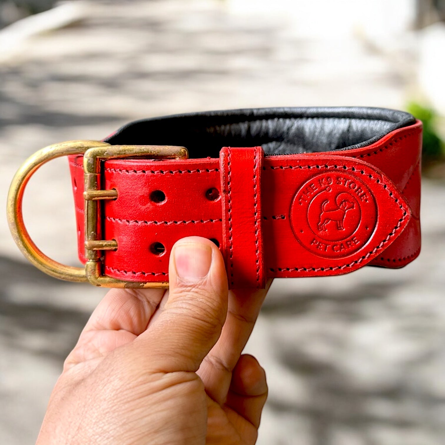 The K9 Store 100% Highgrade Leather Colored Bold & Premium Dog Neck Collar (Red)