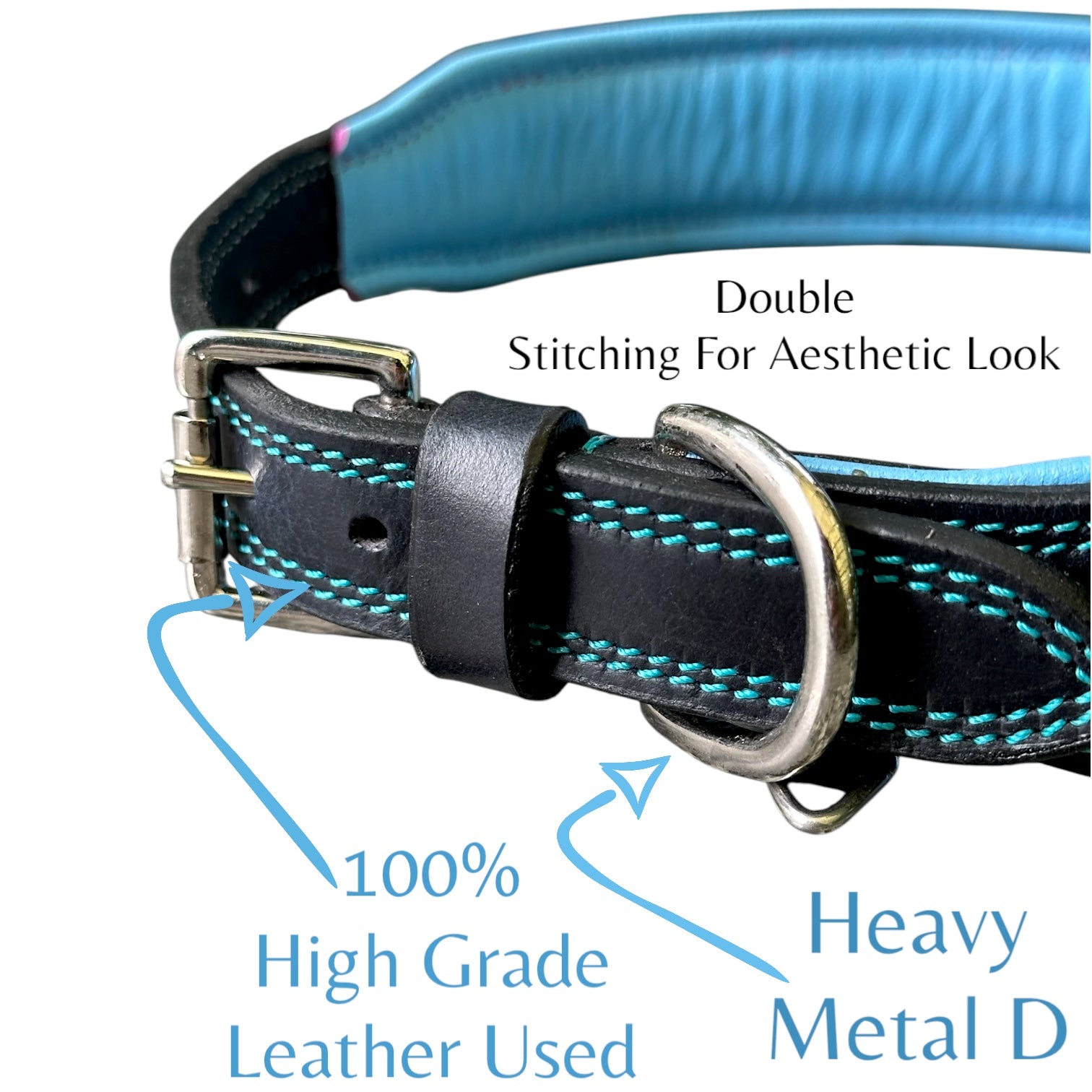 The K9 Store 100% Highgrade Leather Bold Dog Neck Collar For Training With Extra Handle - Zoey's Special B&B (Blue & Black Dual Tone)