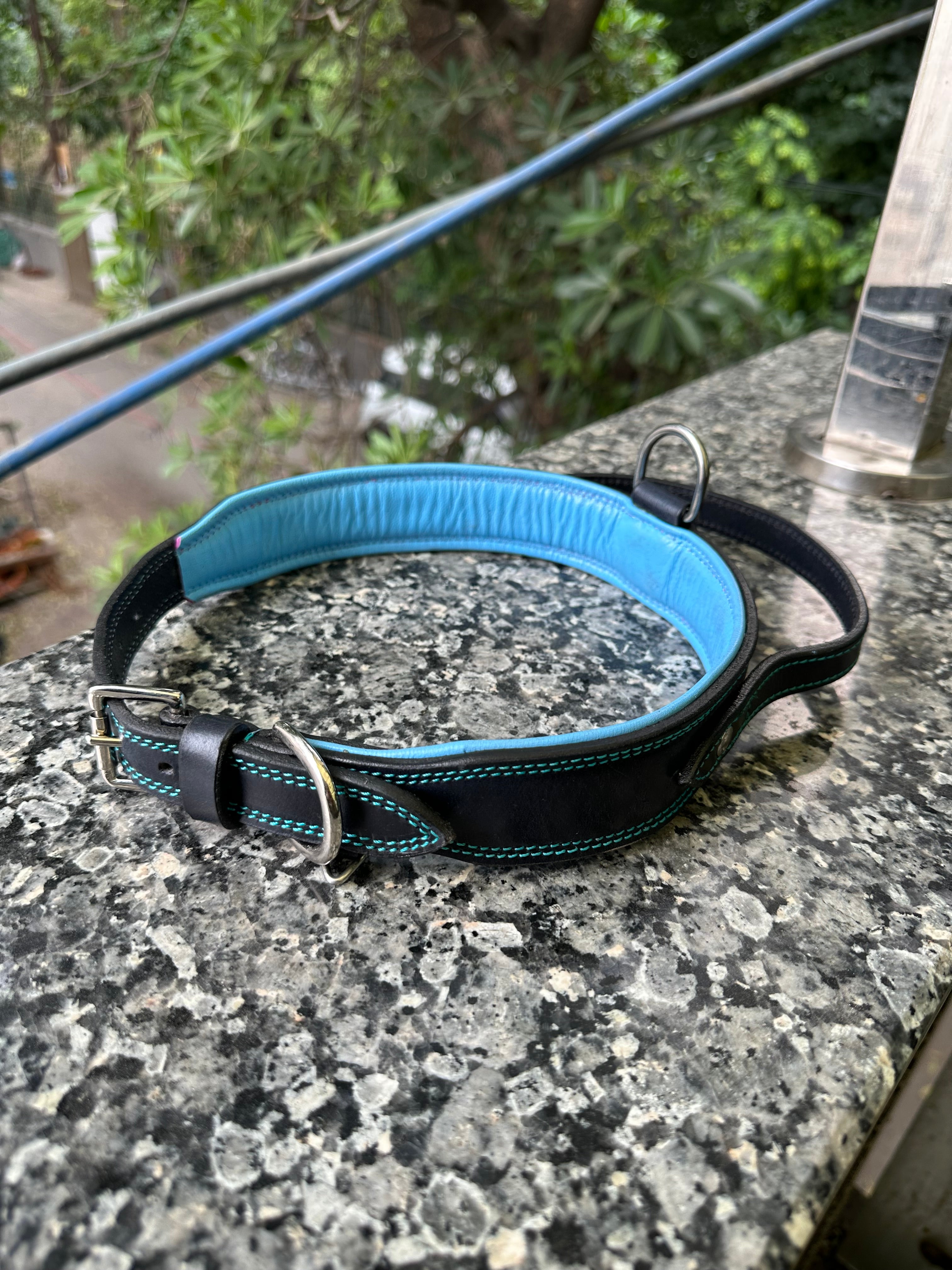 The K9 Store 100% Highgrade Leather Bold Dog Neck Collar For Training With Extra Handle - Zoey's Special B&B (Blue & Black Dual Tone)
