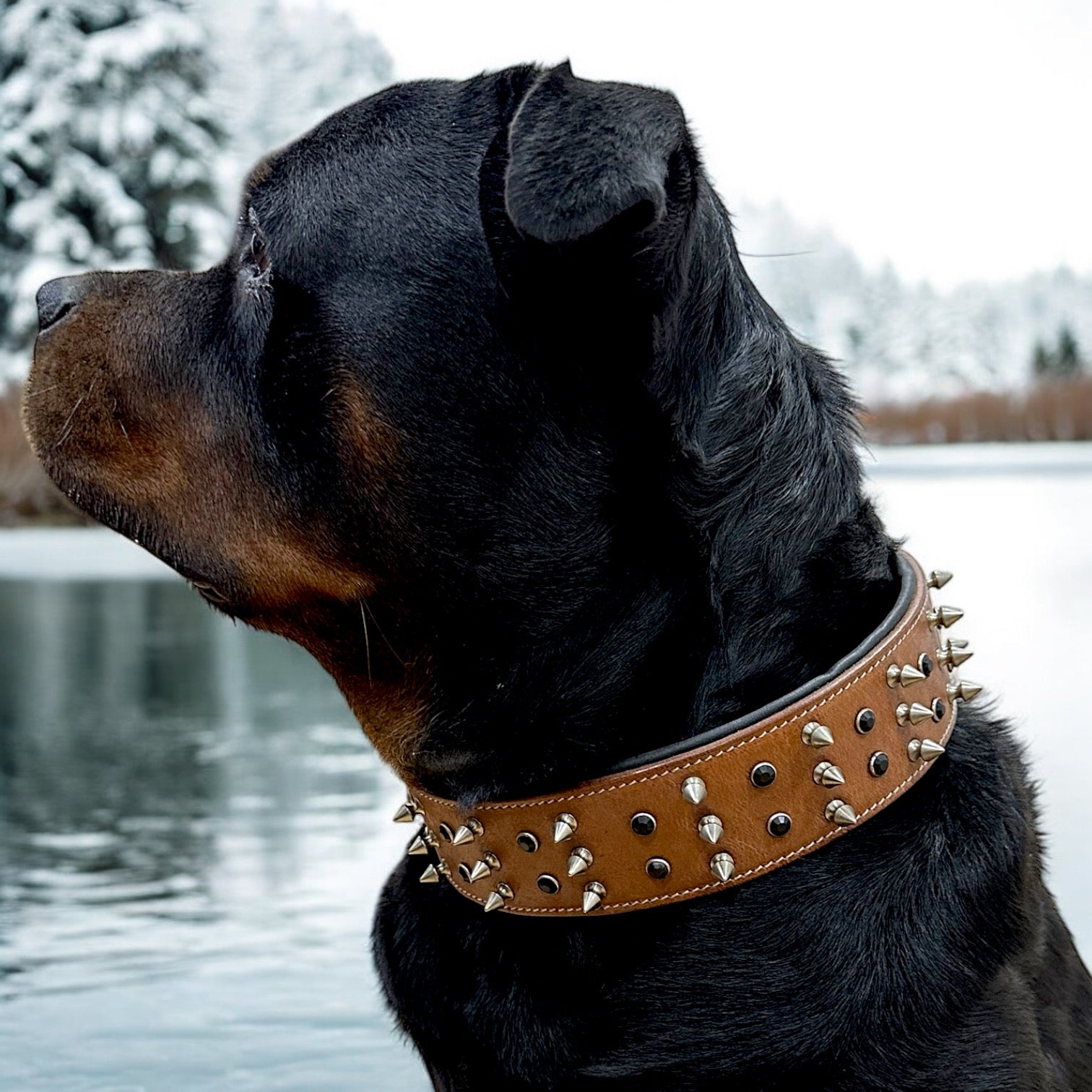 The K9 Store 100% Highgrade Leather Spiked & Studded Designer Dog Neck Collar (Brown) (Bubzee Special)