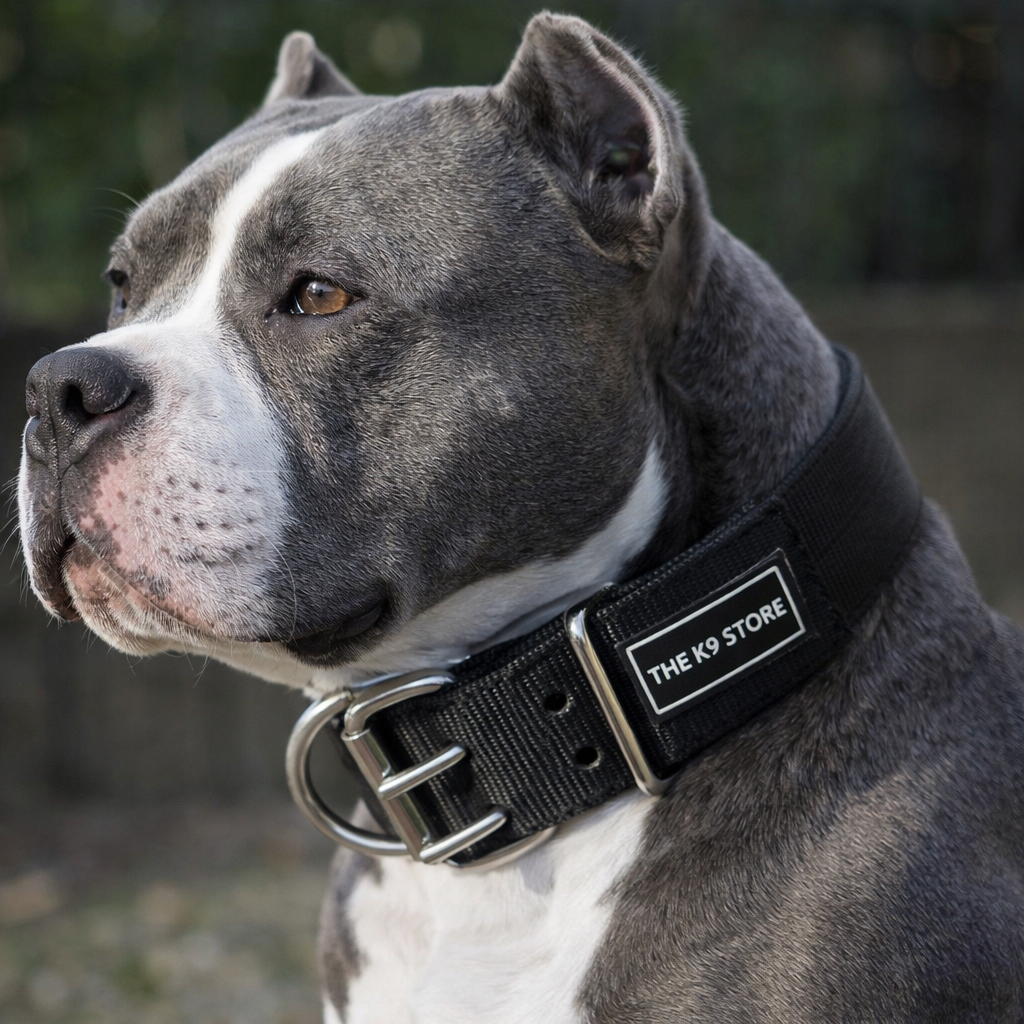 Heavy Duty Adjustable Dog Collar 18–28 Inch – Premium Nylon K9 Training Collar with Dual Metal D-Ring & Strong Buckle for Large & Medium Dogs