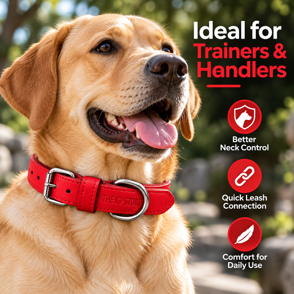 The K9 Store Red Premium Leather Dog Collar | 1-Inch Wide | Soft Cushioned Padded Interior | Heavy-Duty Metal Buckle & D-Ring | Reinforced Stitching | S, M, L & XL | The K9 Store