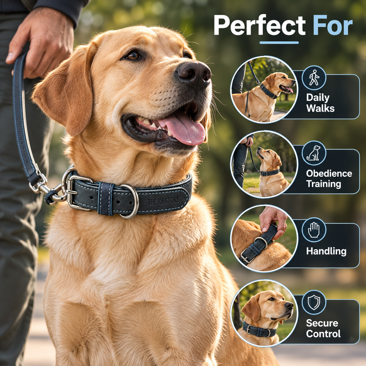 Padded Genuine Leather Dog Collar – Adjustable, 1-Inch Wide, Charcoal with Blue Stitching | The K9 Store