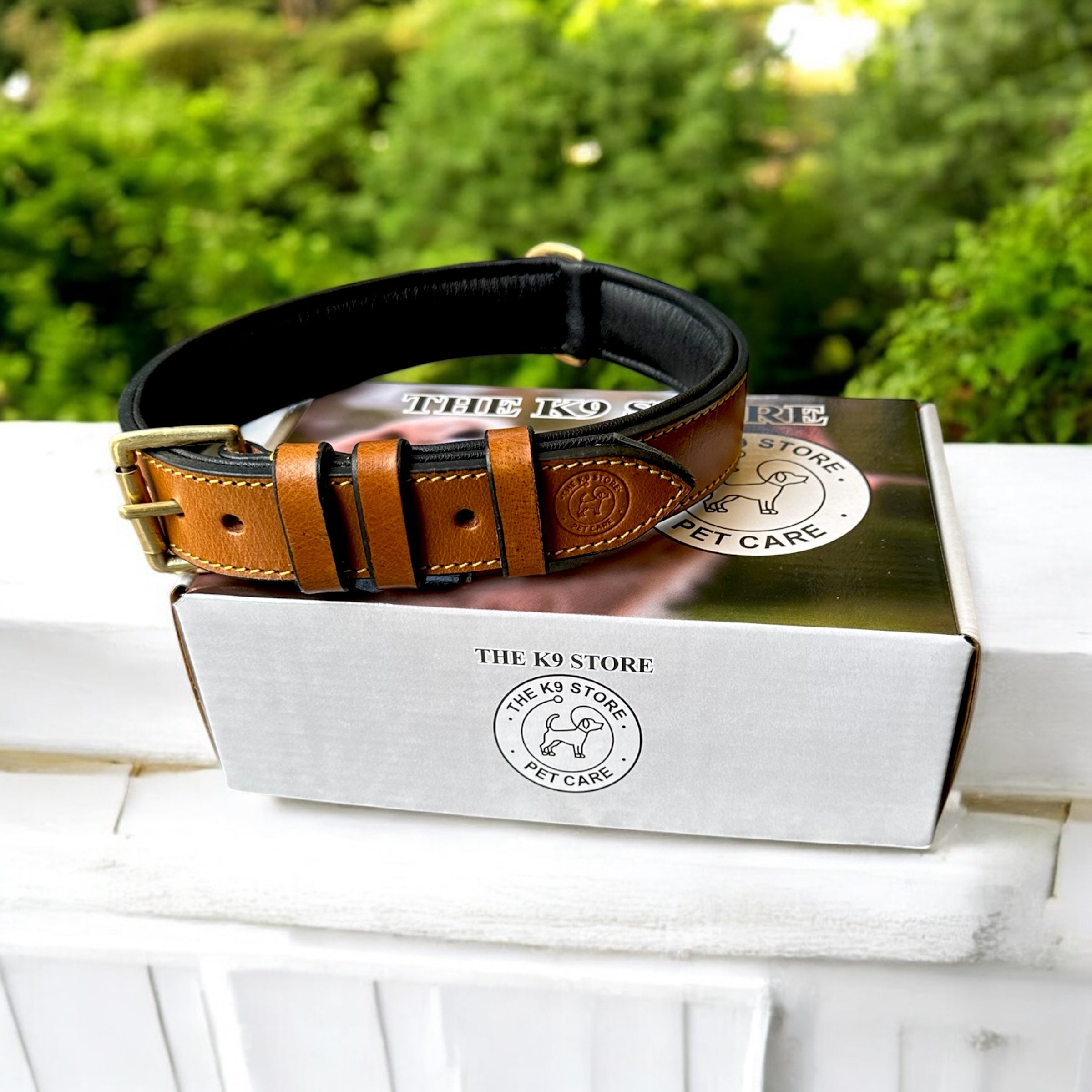 The K9 Store 100% Highgrade Leather Colored Basic Dog Neck Collar (Tan)