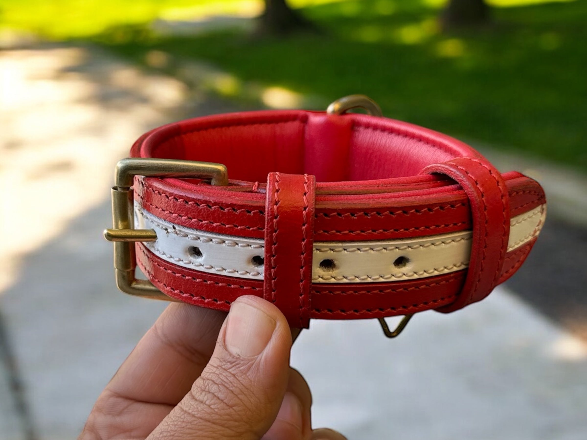 The K9 Store 100% Highgrade Leather Dual Tone Designer Dog Neck Collar (Red & White)