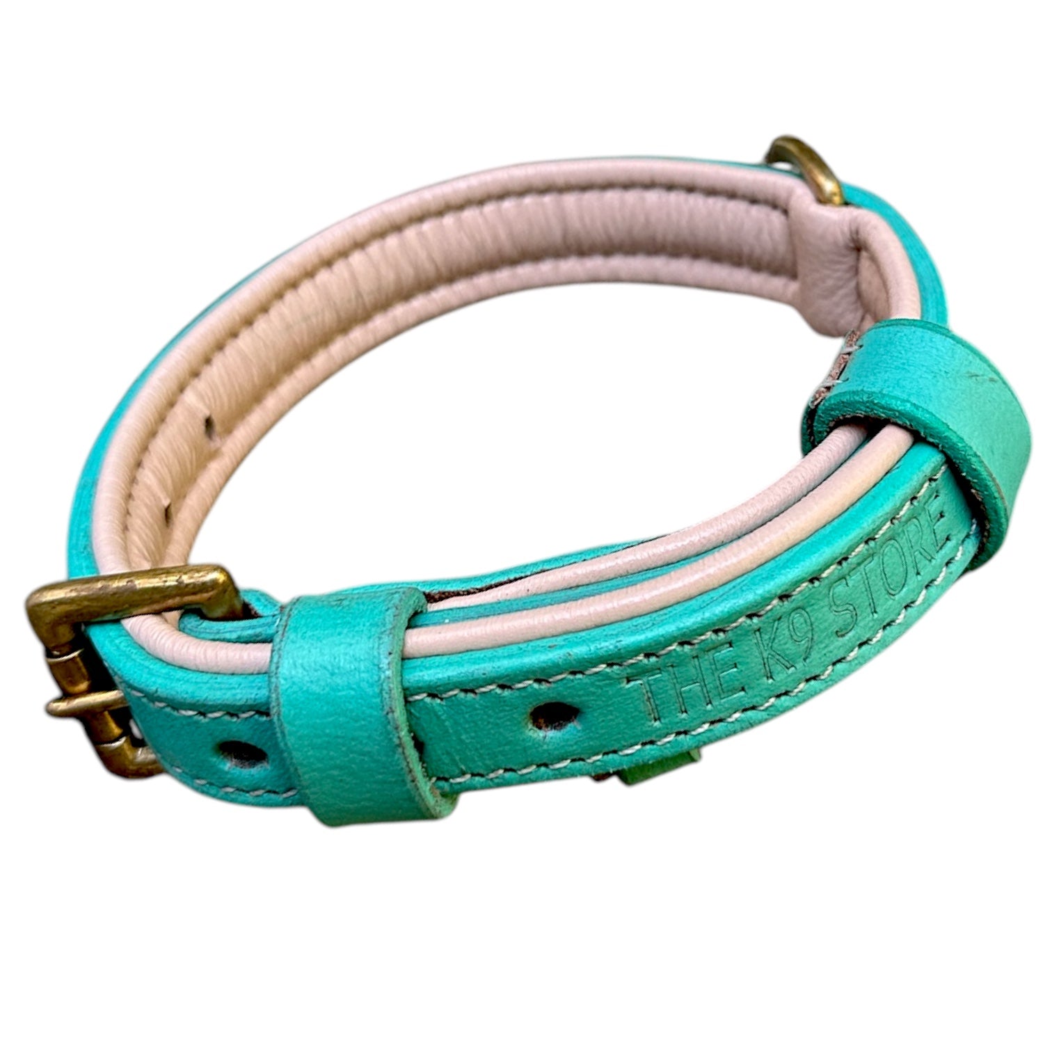 The K9 Store 100% Highgrade Leather Colored Basic Dog Neck Collar (Green/Mint)