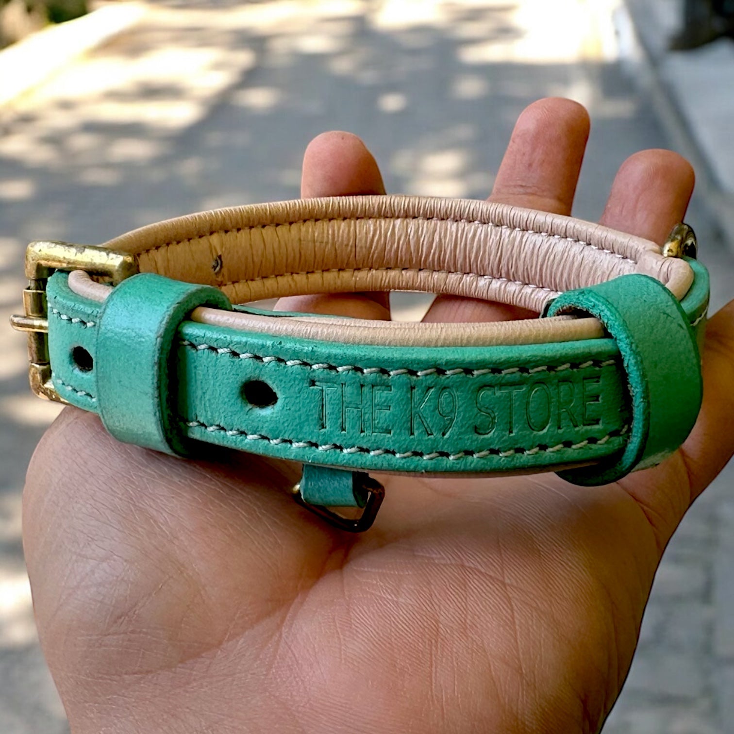 The K9 Store 100% Highgrade Leather Colored Basic Dog Neck Collar (Green/Mint)