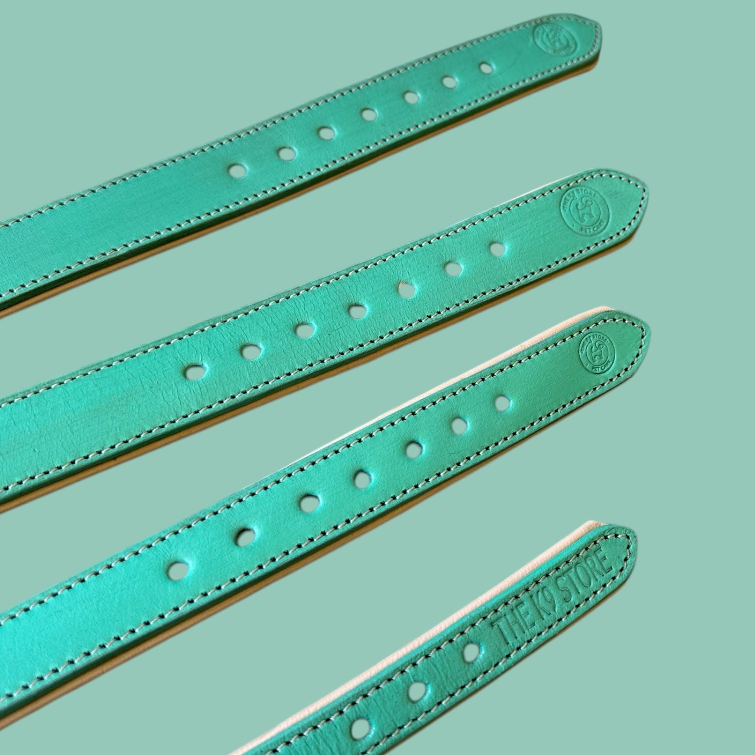 The K9 Store 100% Highgrade Leather Colored Basic Dog Neck Collar (Green/Mint)