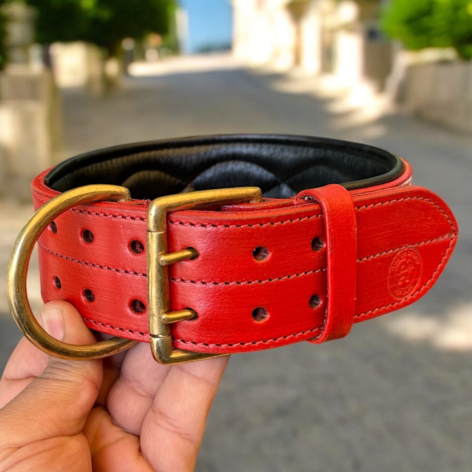 The K9 Store 100% Highgrade Leather Colored Bold & Premium Dog Neck Collar (Dark Red)