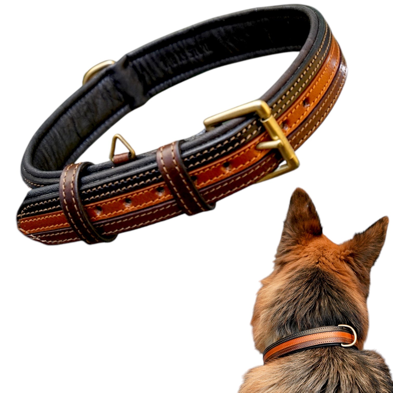 The K9 Store 100% Highgrade Leather Colored Designer Dog Neck Collar (Black + Tan + Chocolate - TRICOLOR)
