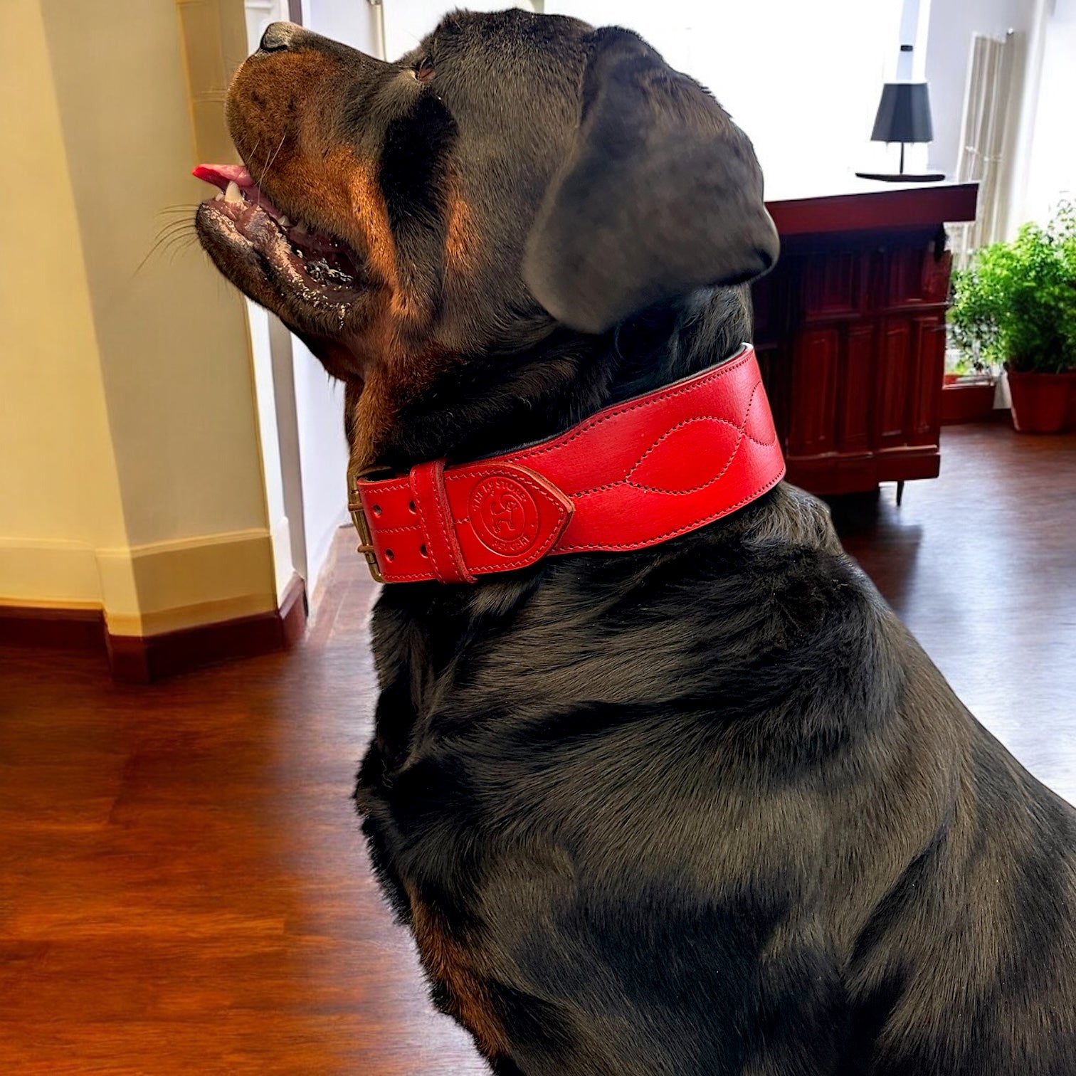 The K9 Store 100% Highgrade Leather Colored Bold & Premium Dog Neck Collar (Red)