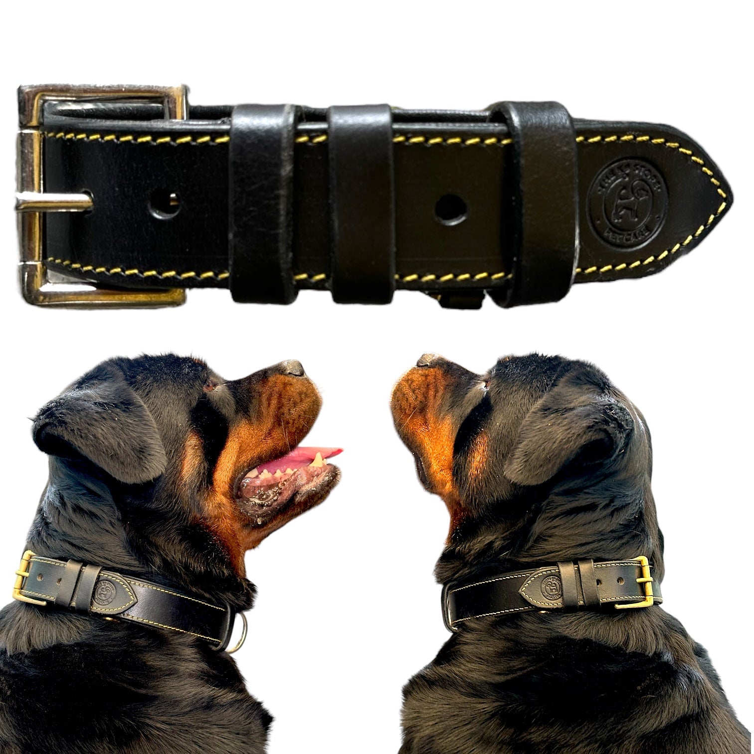Highgrade Leather Basic Dog Neck Collar Black