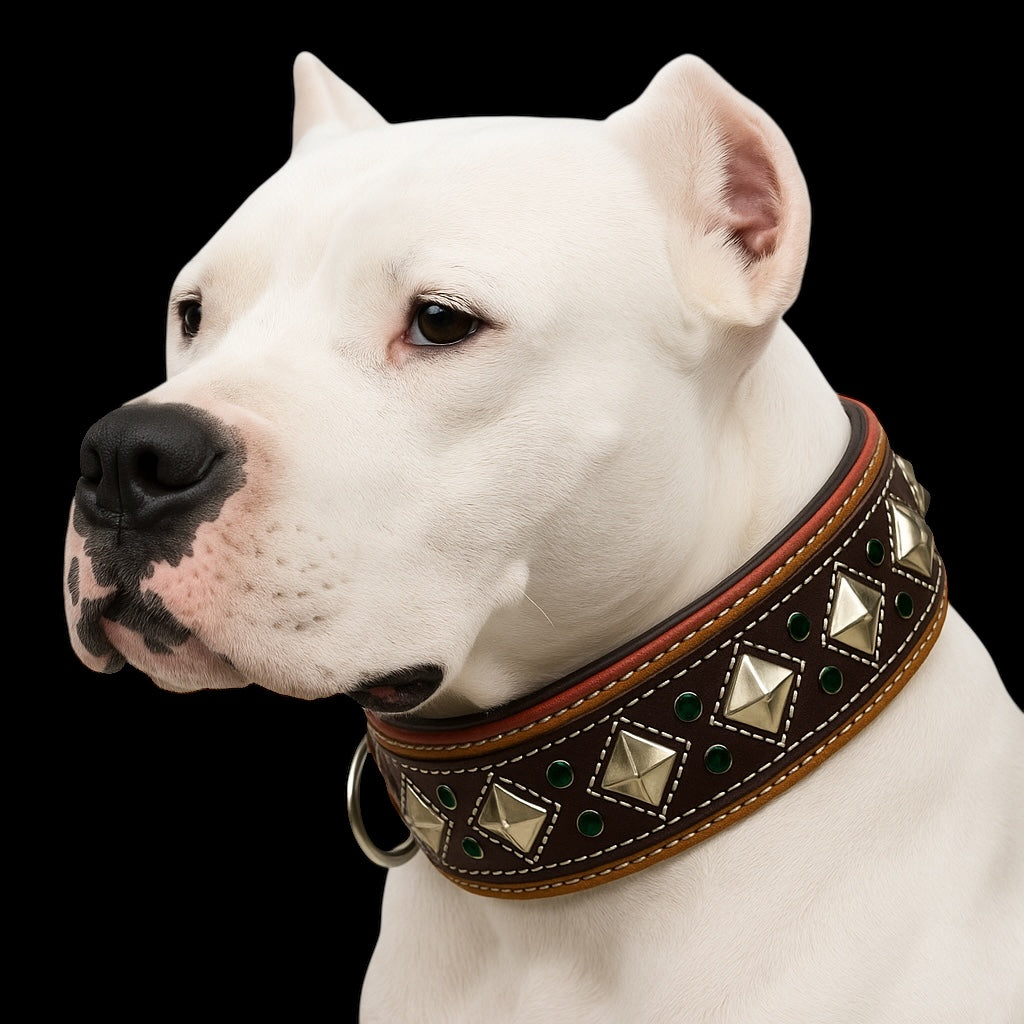 Genuine Leather Studded Dog Collar | Handcrafted Diamond Design with Crystals | Padded Interior | Large & XL