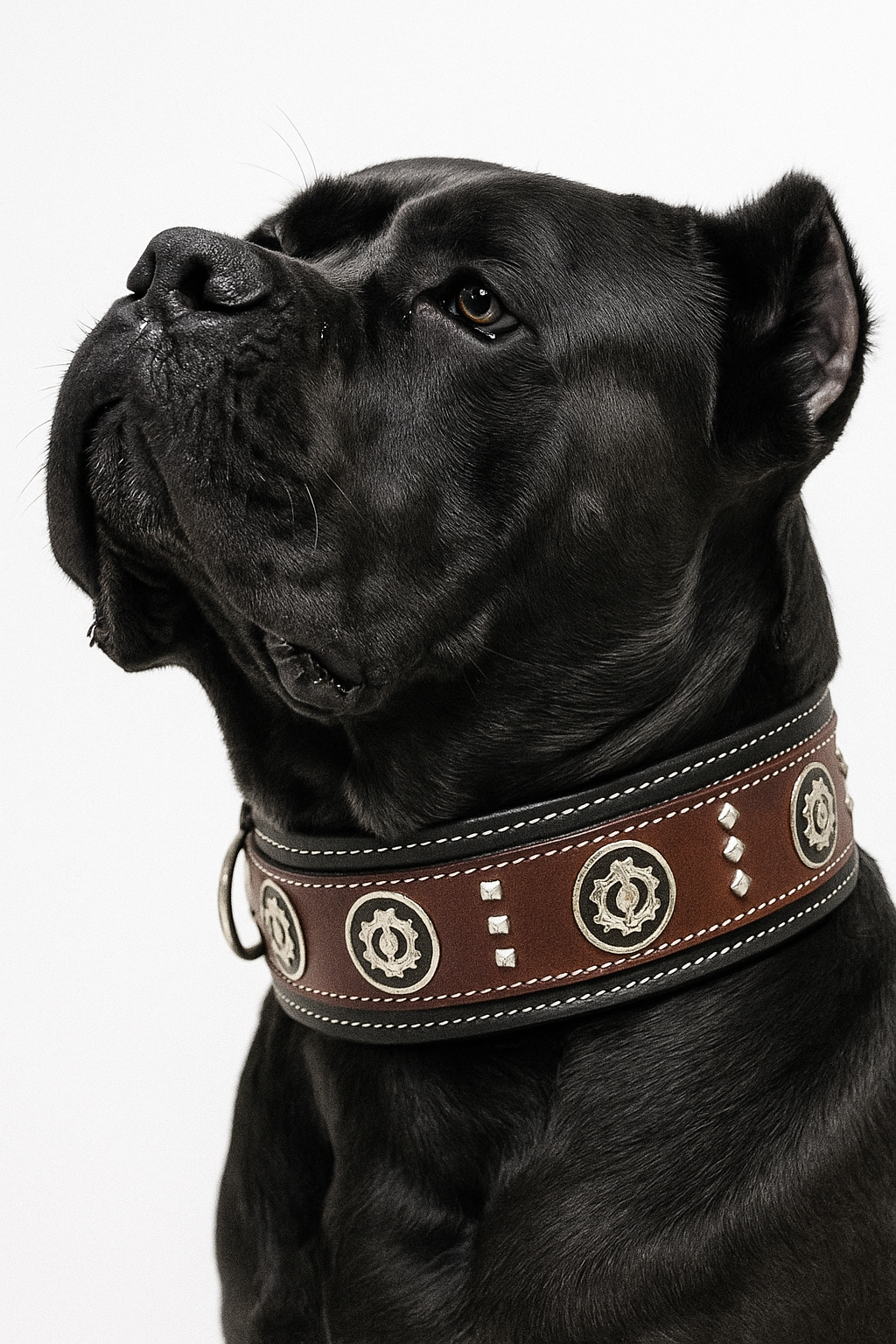 The K9 Store Luxury Studded Leather Designer Dog Collar by K9 Store – Durable, Stylish & Comfortable for Big Dogs