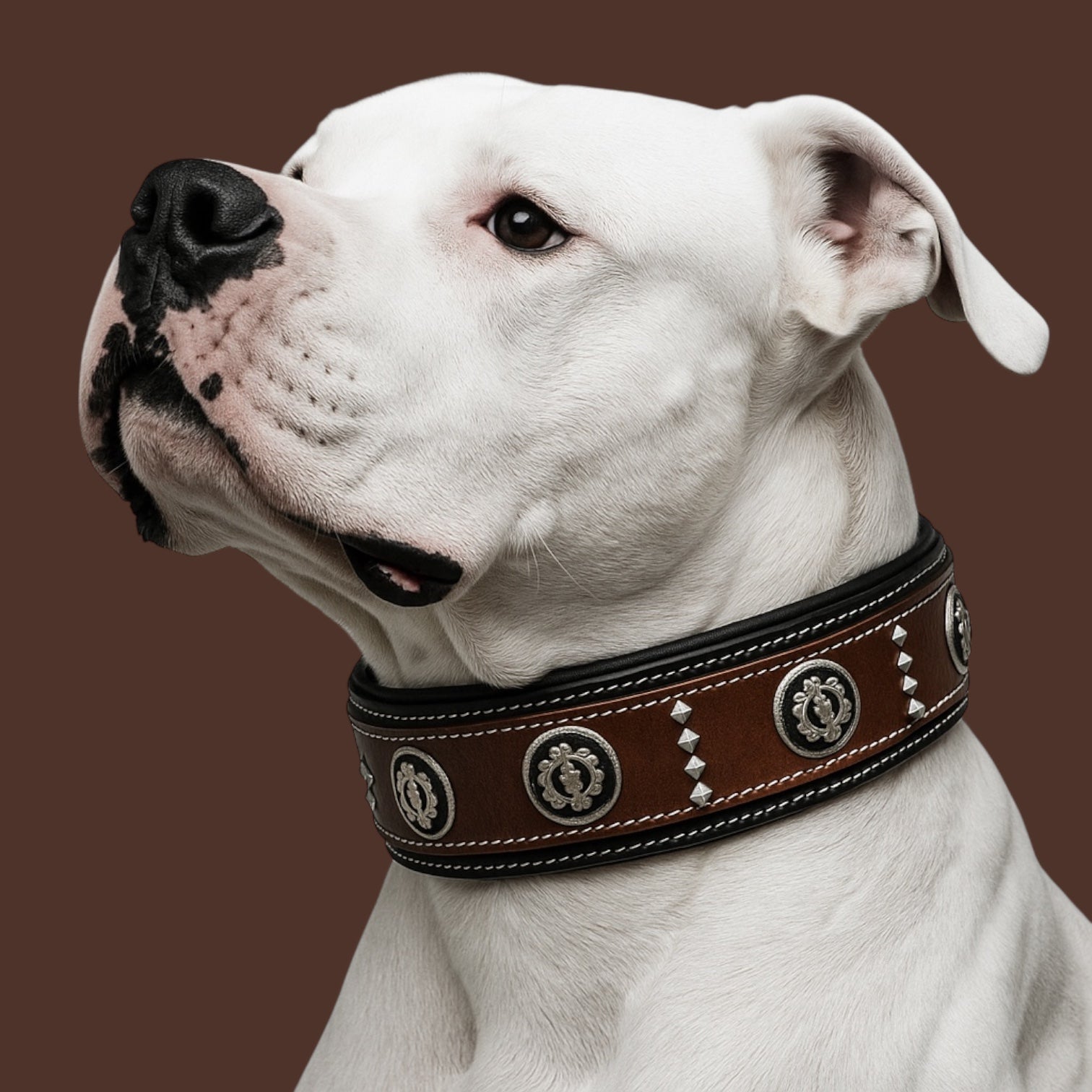 The K9 Store Luxury Studded Leather Designer Dog Collar by K9 Store – Durable, Stylish & Comfortable for Big Dogs