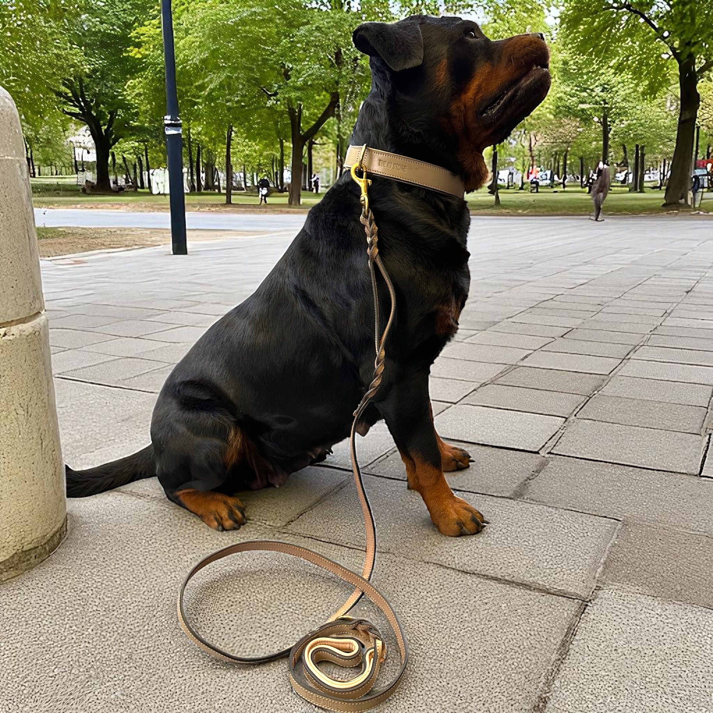 THE K9 STORE – Grey Leather Collar + Matching 6FT Double-Handle Leash (Combo Set)