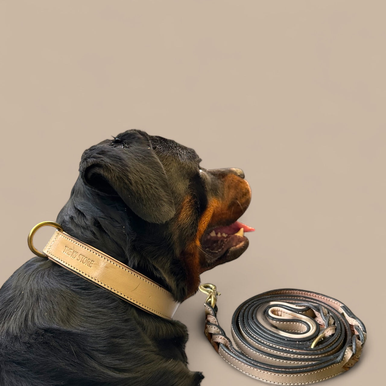 THE K9 STORE – Grey Leather Collar + Matching 6FT Double-Handle Leash (Combo Set)