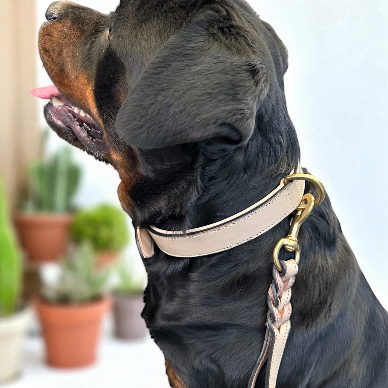 THE K9 STORE – Grey Leather Collar + Matching 6FT Double-Handle Leash (Combo Set)