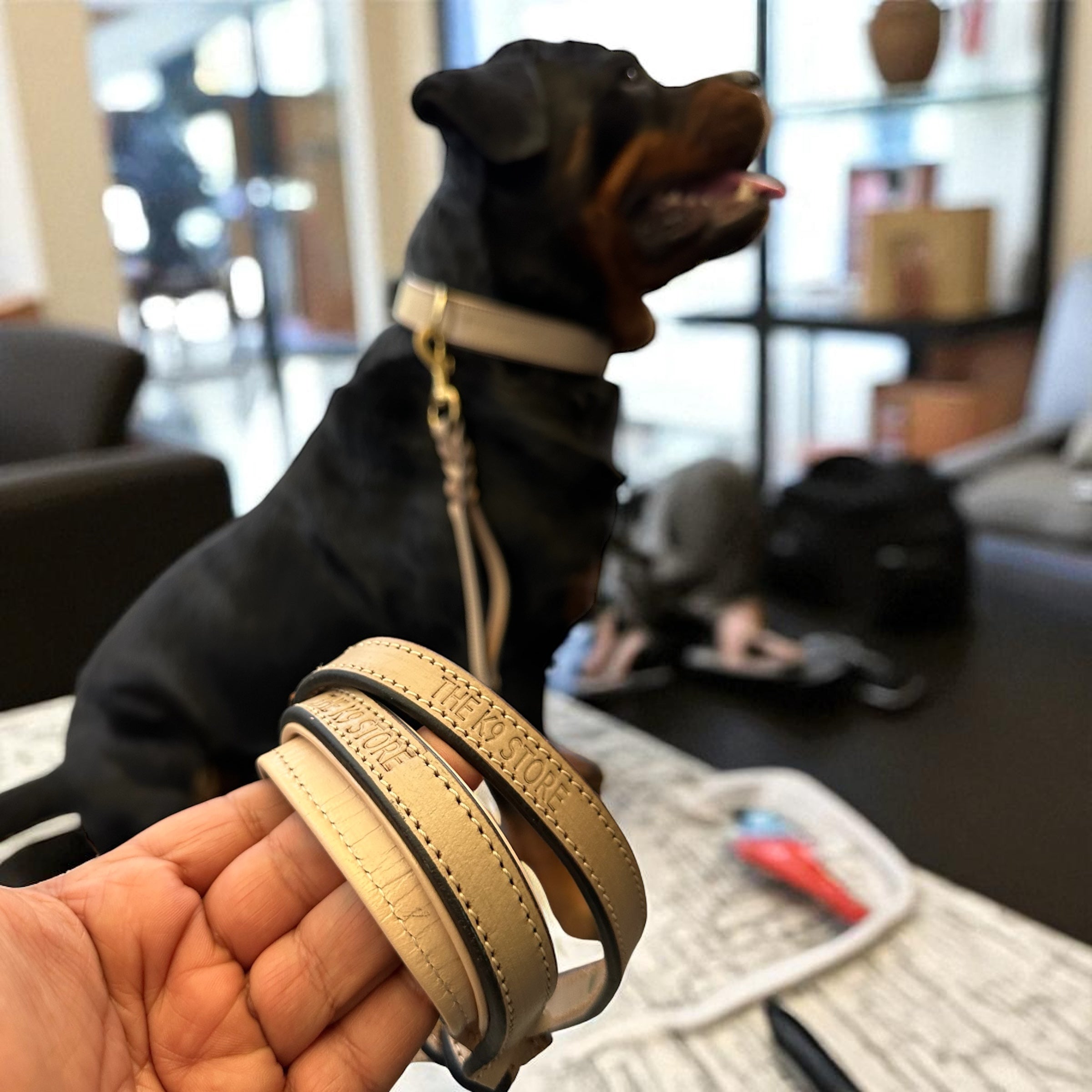 THE K9 STORE – Grey Leather Collar + Matching 6FT Double-Handle Leash (Combo Set)