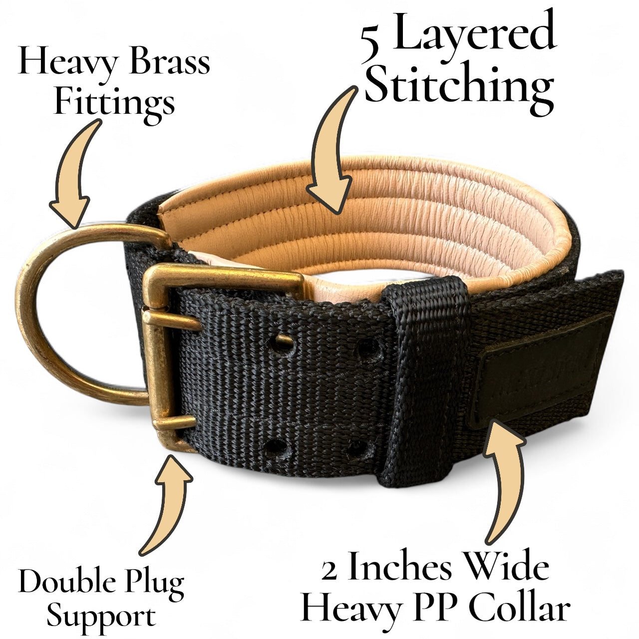 Heavy Duty Padded Dog Collar with Brass Hook & D-Ring | 2 Inch Wide | THE K9 STORE