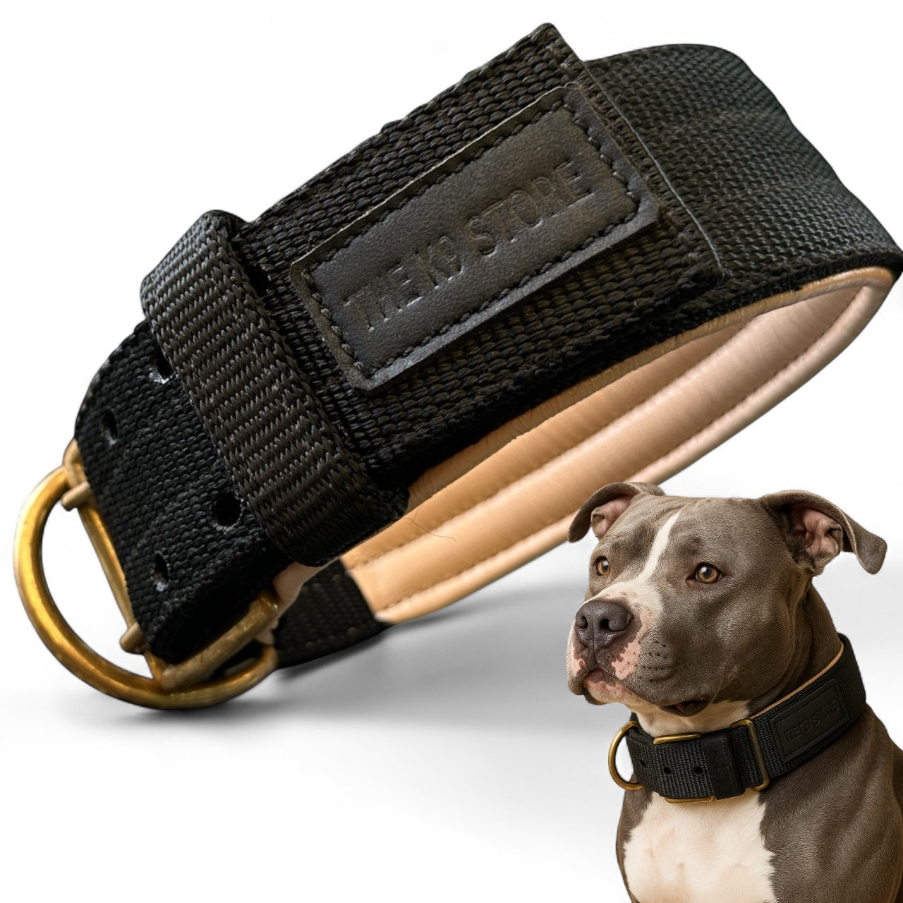 Heavy Duty Padded Dog Collar with Brass Hook & D-Ring | 2 Inch Wide | THE K9 STORE