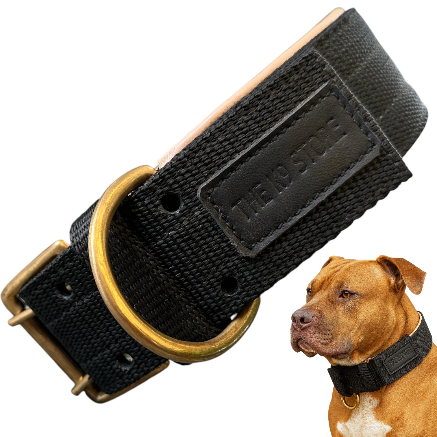 Heavy Duty Padded Dog Collar with Brass Hook & D-Ring | 2 Inch Wide | THE K9 STORE