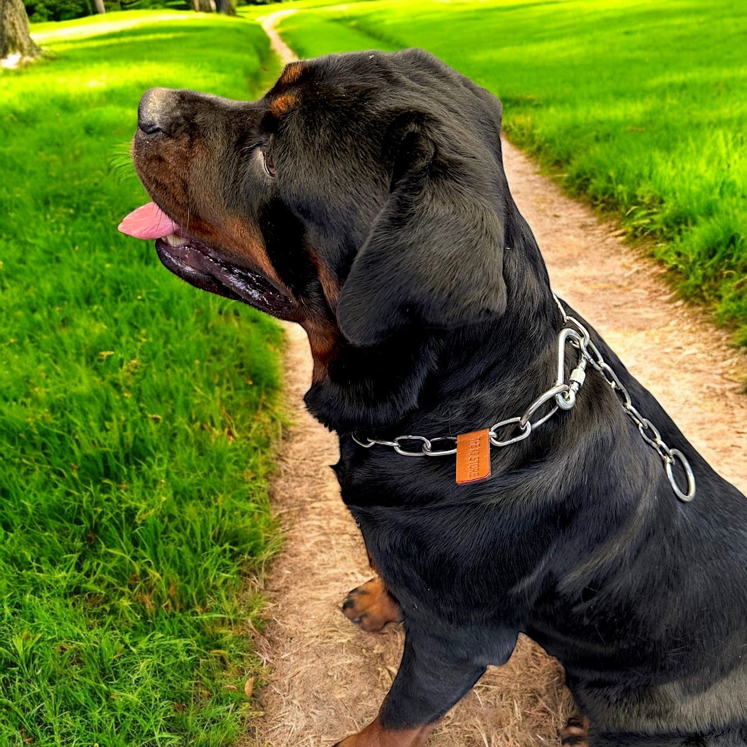 The K9 Store Metal Heavy Duty Choke Chain Dog Collar – Stainless Steel Adjustable Training Collar for Strong Dogs