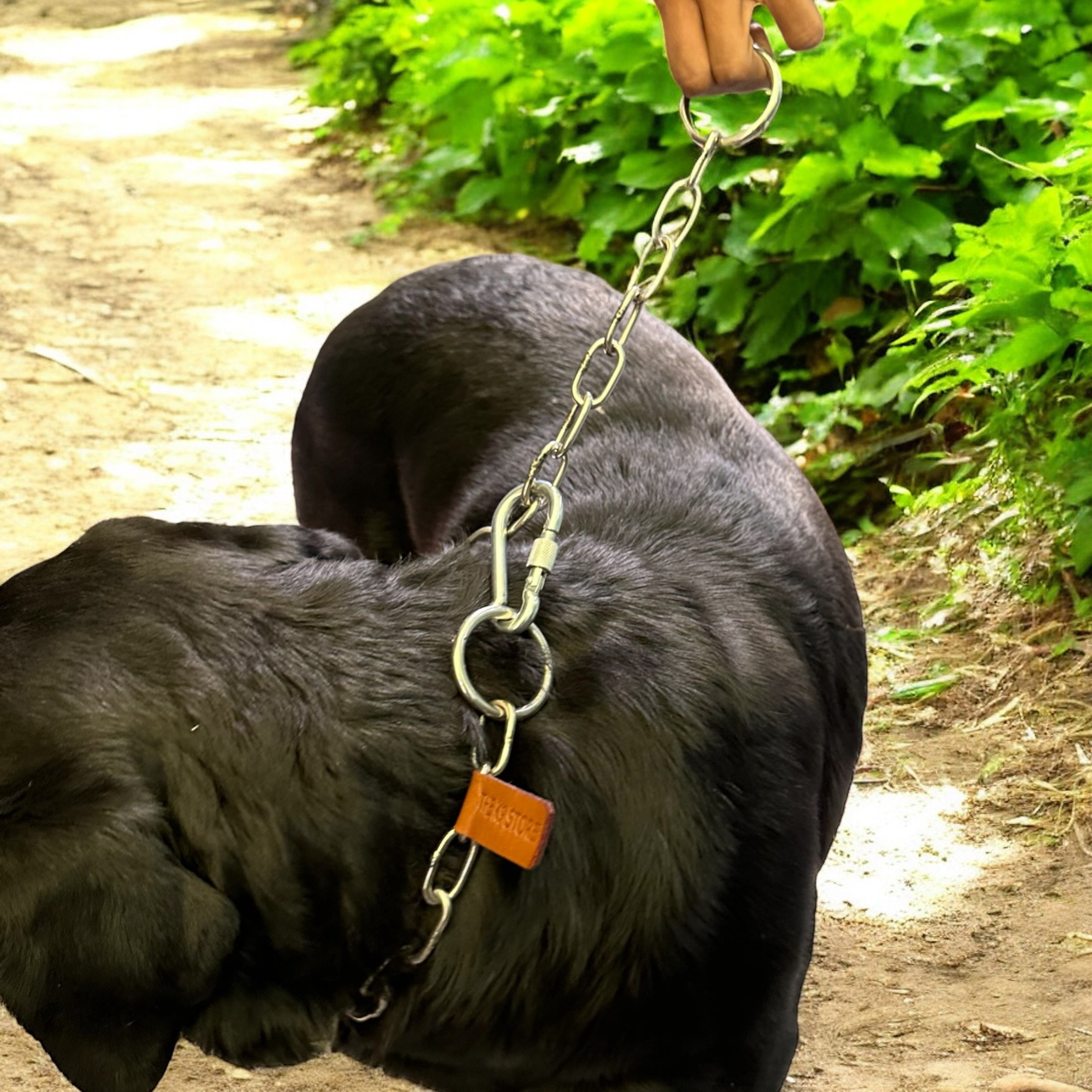 The K9 Store Metal Heavy Duty Choke Chain Dog Collar – Stainless Steel Adjustable Training Collar for Strong Dogs