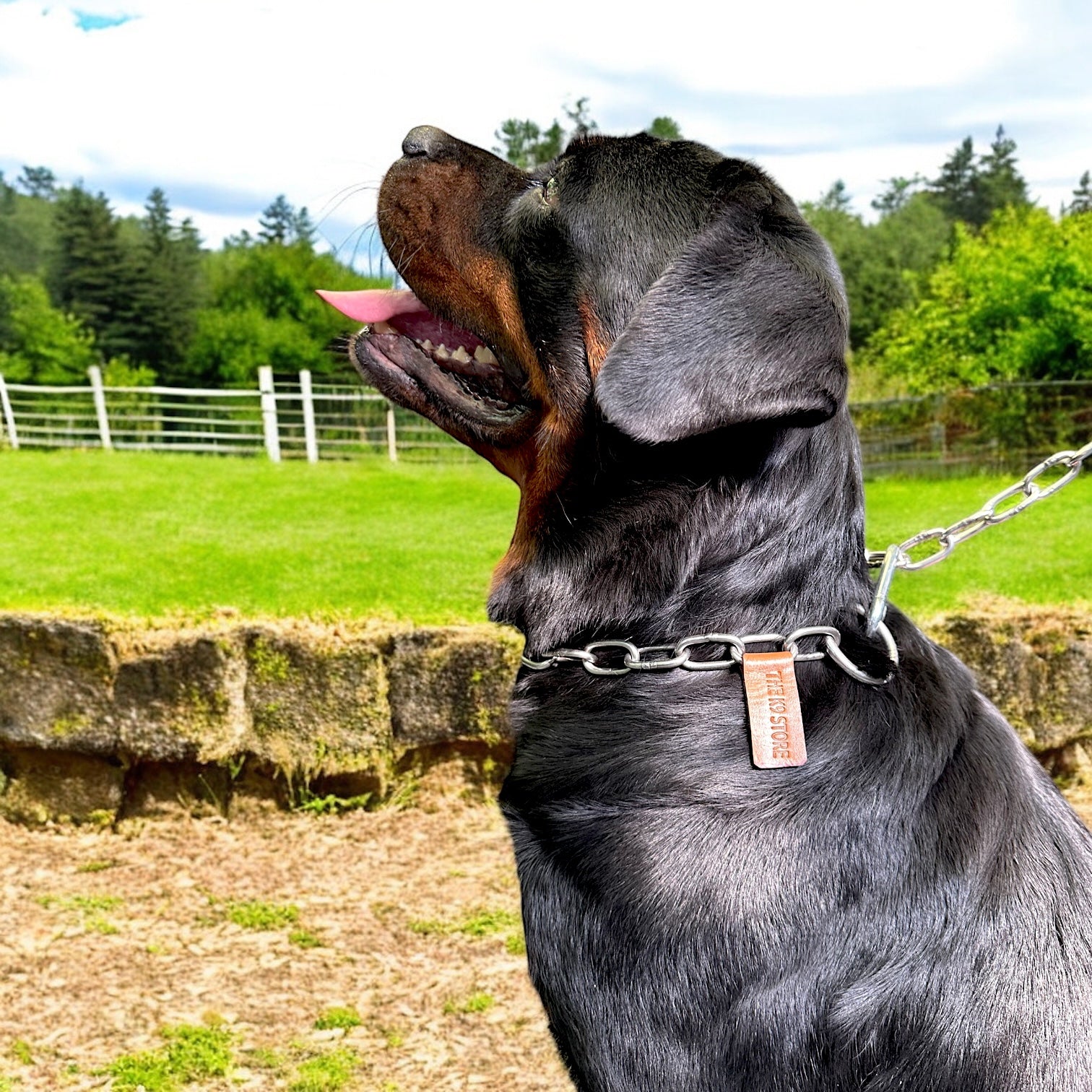 The K9 Store Metal Heavy Duty Choke Chain Dog Collar – Stainless Steel Adjustable Training Collar for Strong Dogs