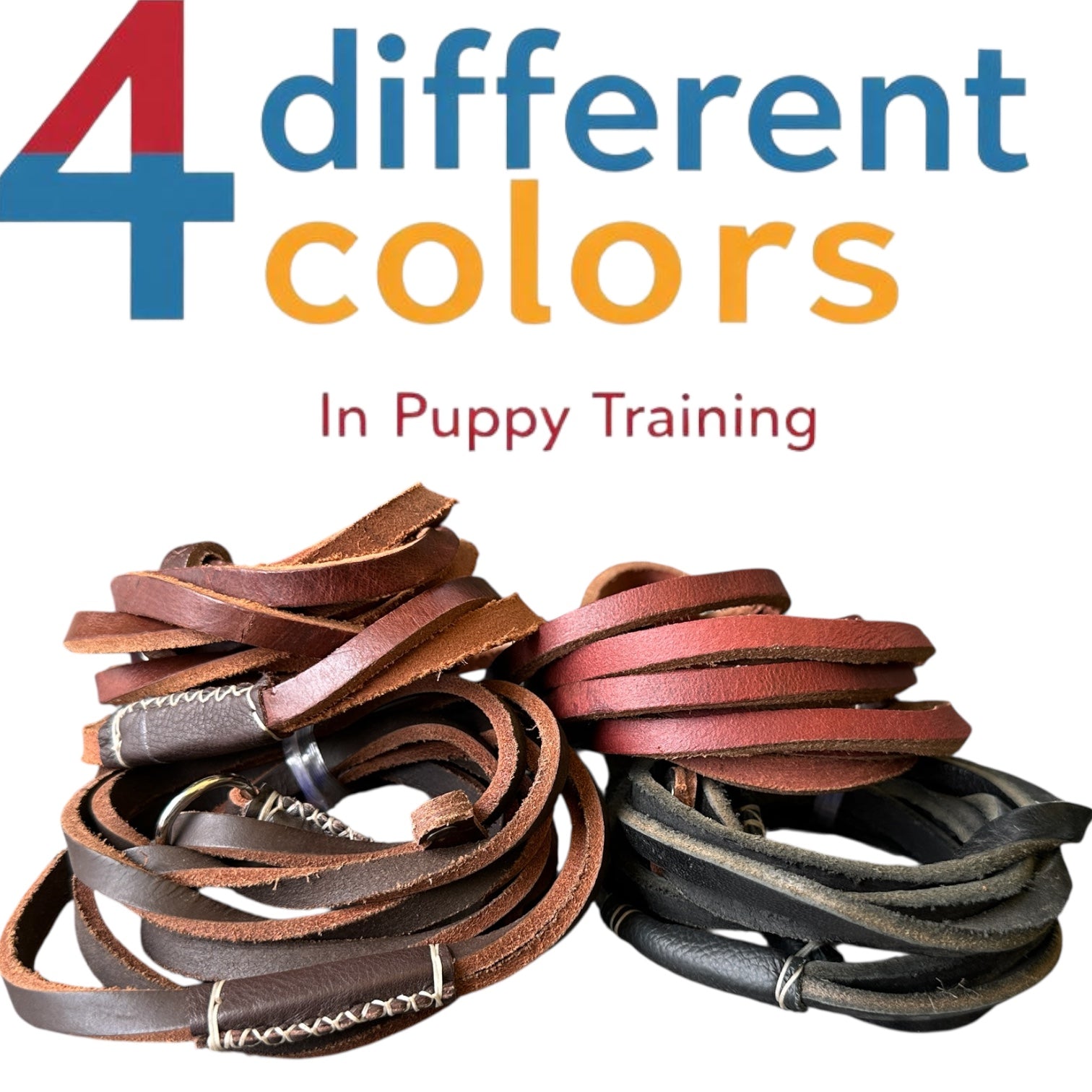 Slip Leash for Puppy Training – Leather, 6ft, 4 Colors | THE K9 STORE