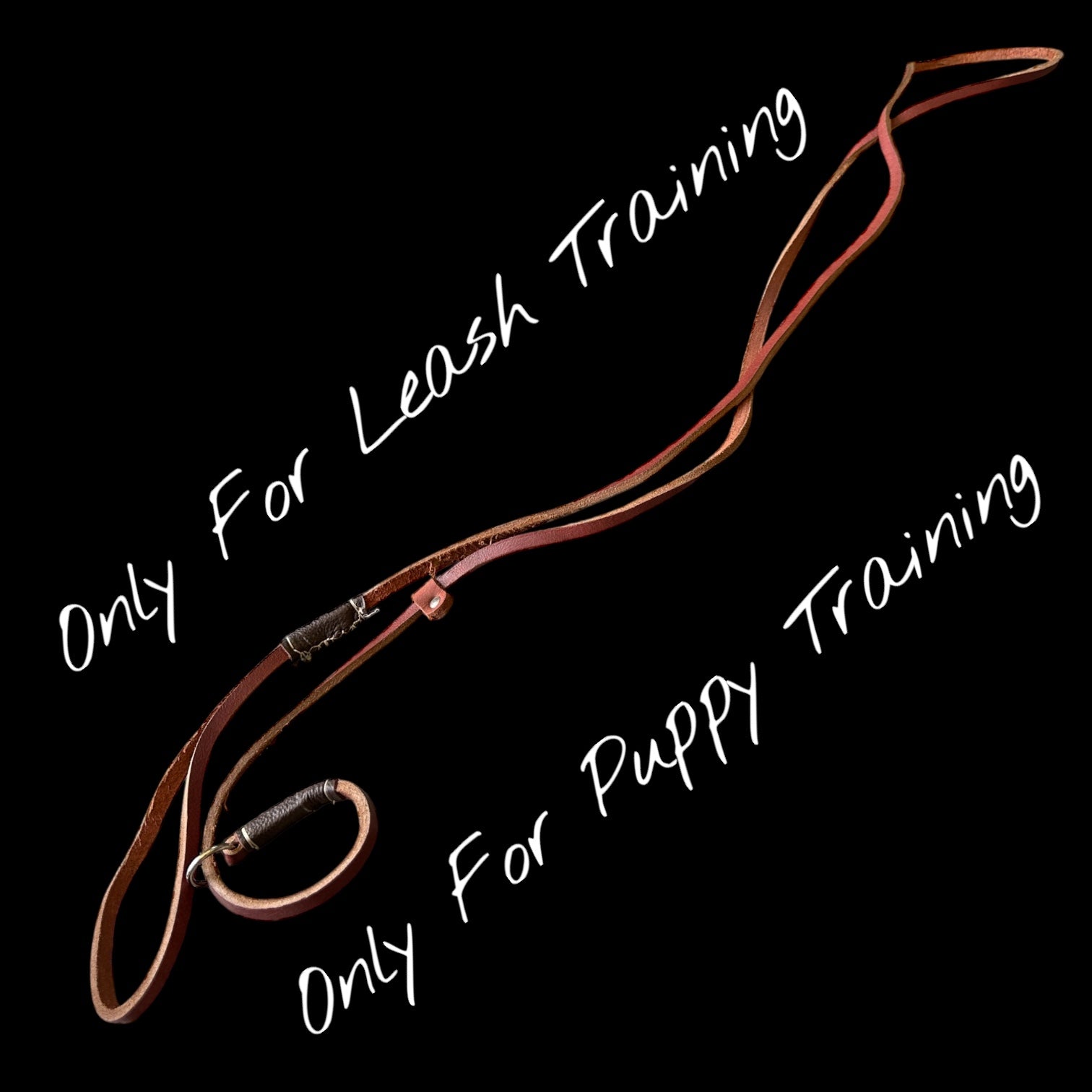 Slip Leash for Puppy Training – Leather, 6ft, 4 Colors | THE K9 STORE