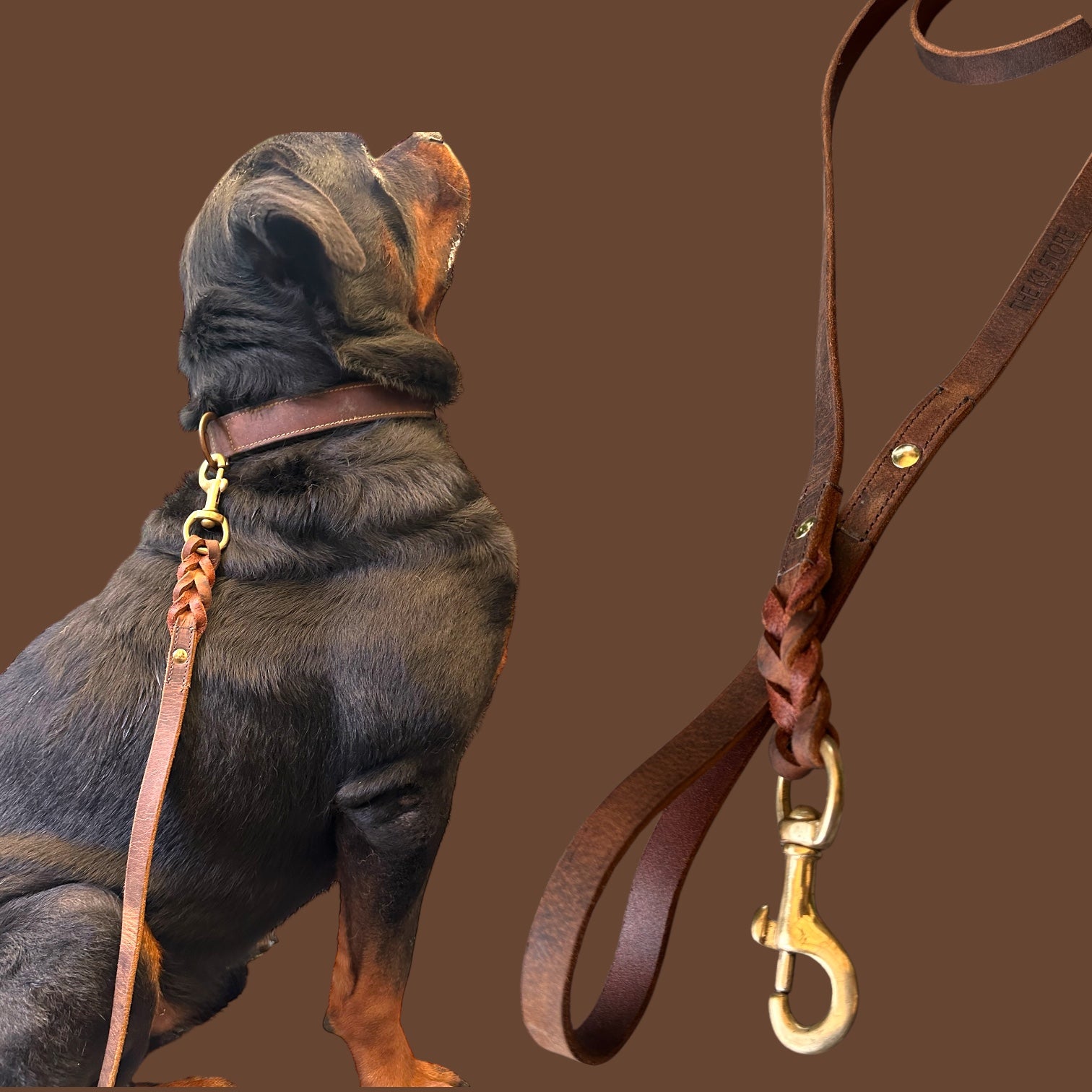 The K9 Store Premium Leather Single Handle Freebie Dog Leash, 5 Feet Long With Brass Hook For All Dog Breeds