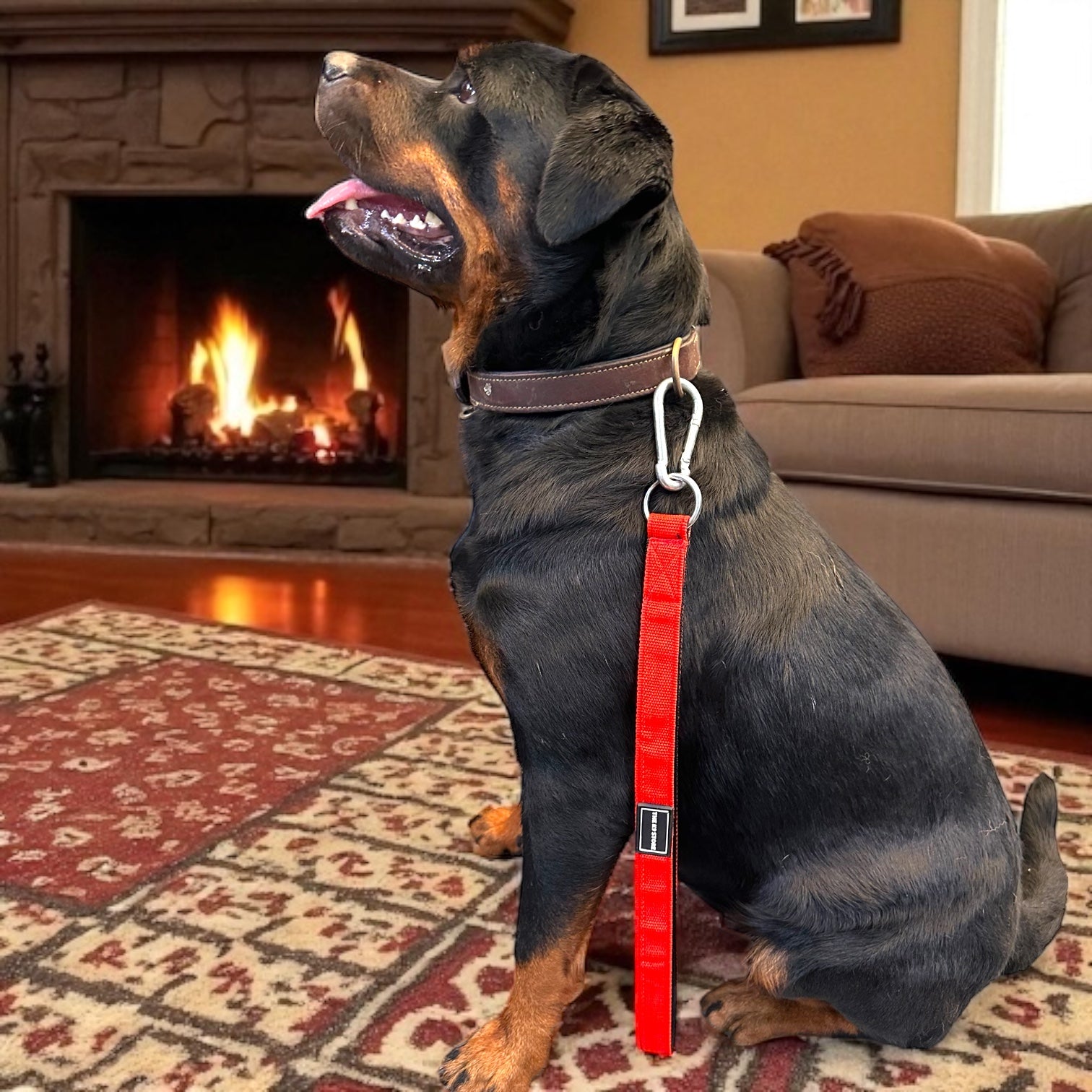 The K9 Store 17-Inch Short Handle Dog Leash – Heavy Duty Nylon Leash with Brass Hooks