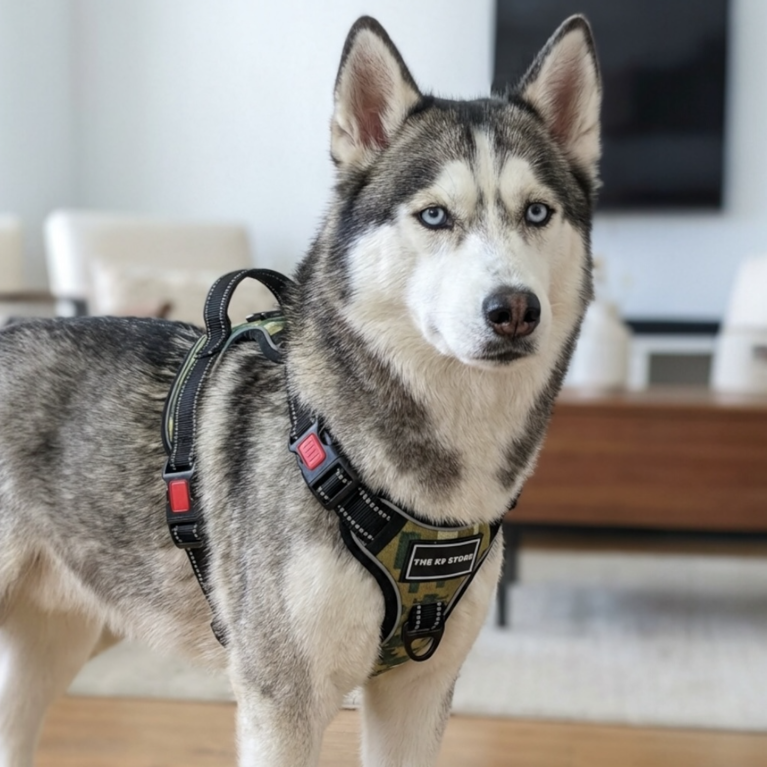 K9 Double Bone Tactical Dog Harness – No Pull Adjustable Pet Vest with Handle, Front D-Ring & Lockable Buckle (S–XL)