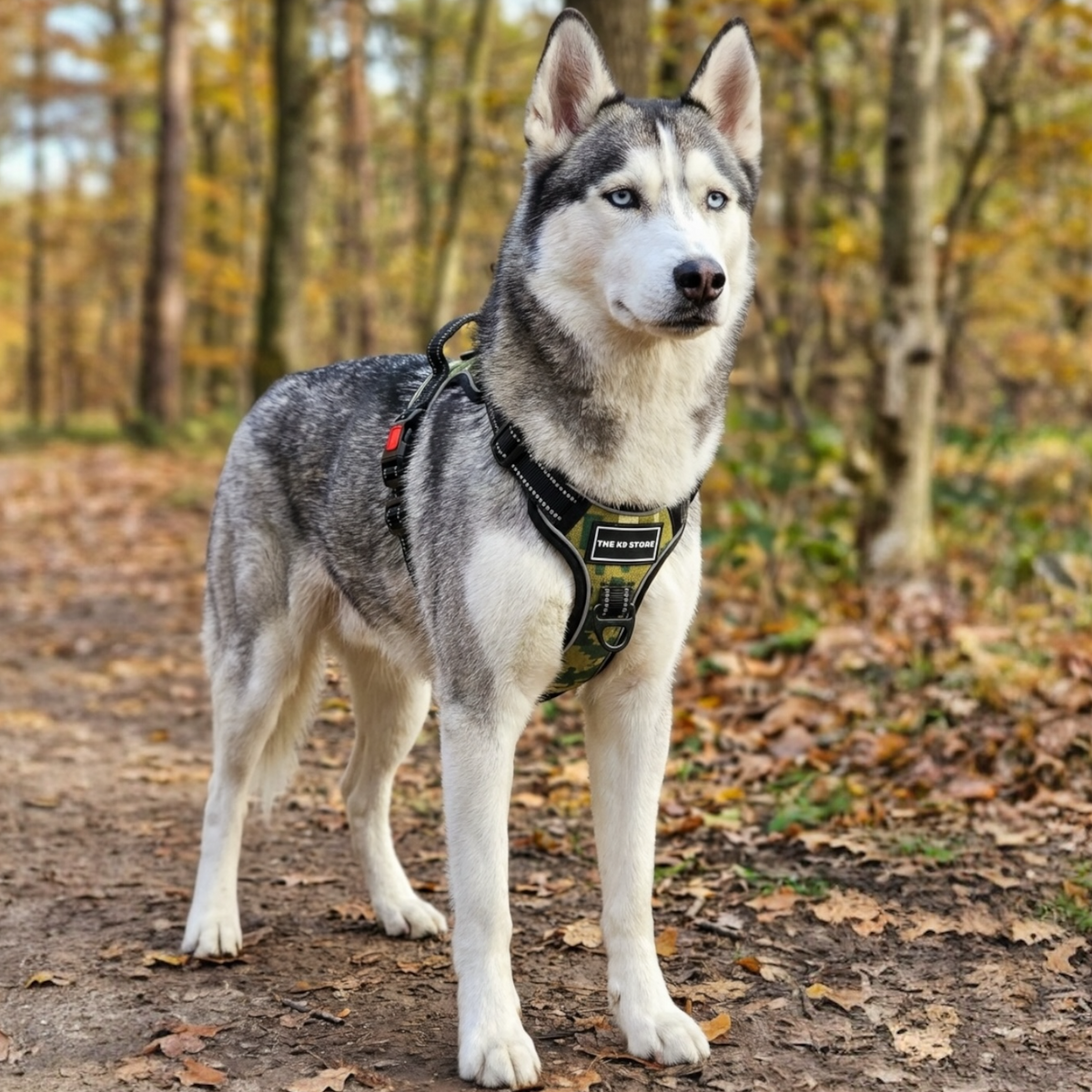 K9 Double Bone Tactical Dog Harness – No Pull Adjustable Pet Vest with Handle, Front D-Ring & Lockable Buckle (S–XL)