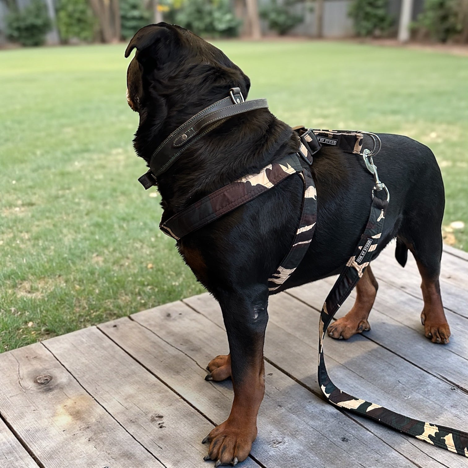 The K9 Store Camo Dog Harness & Leash Set (No-Pull, Heavy Duty) – Small / Medium / Large / XL