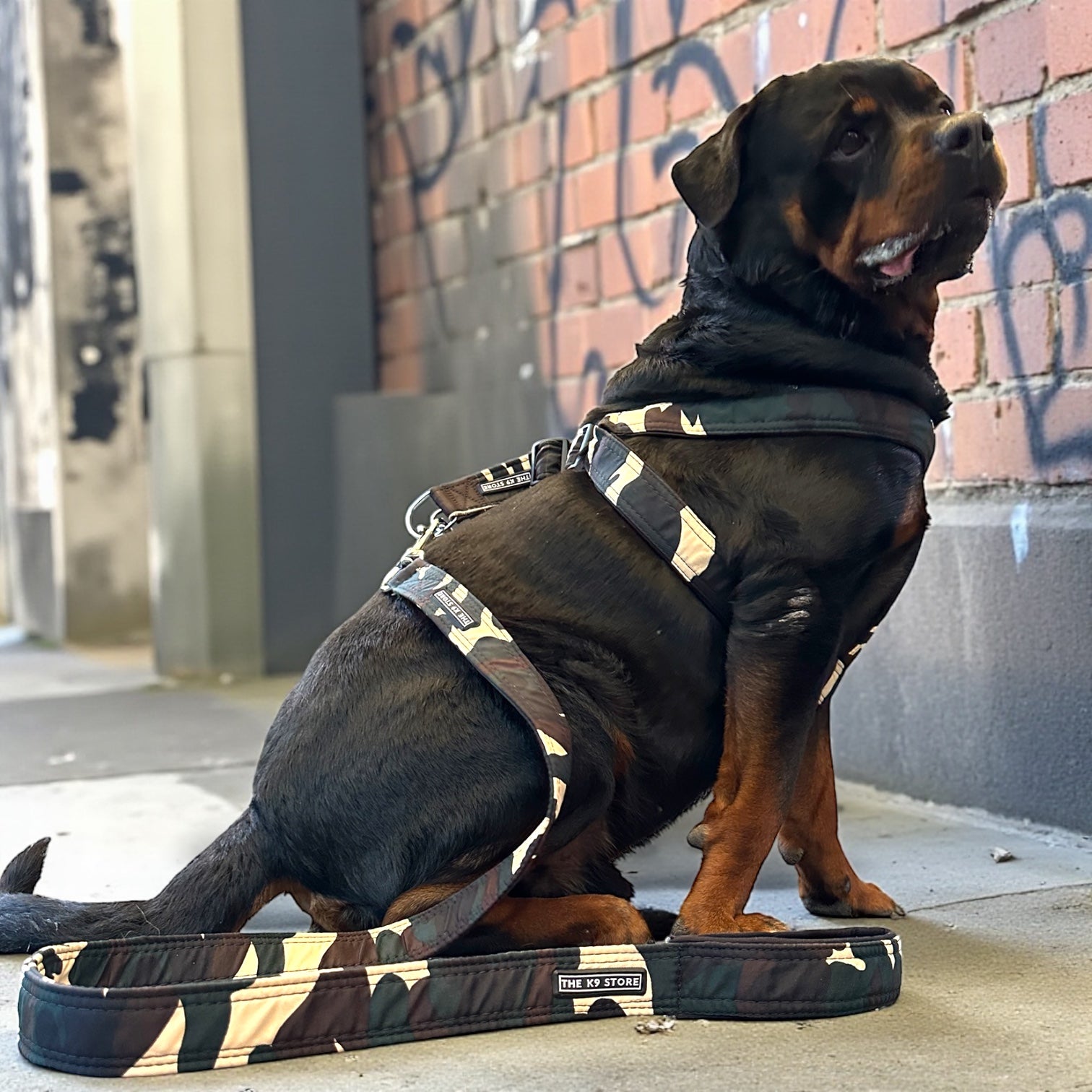 The K9 Store Camo Dog Harness & Leash Set (No-Pull, Heavy Duty) – Small / Medium / Large / XL