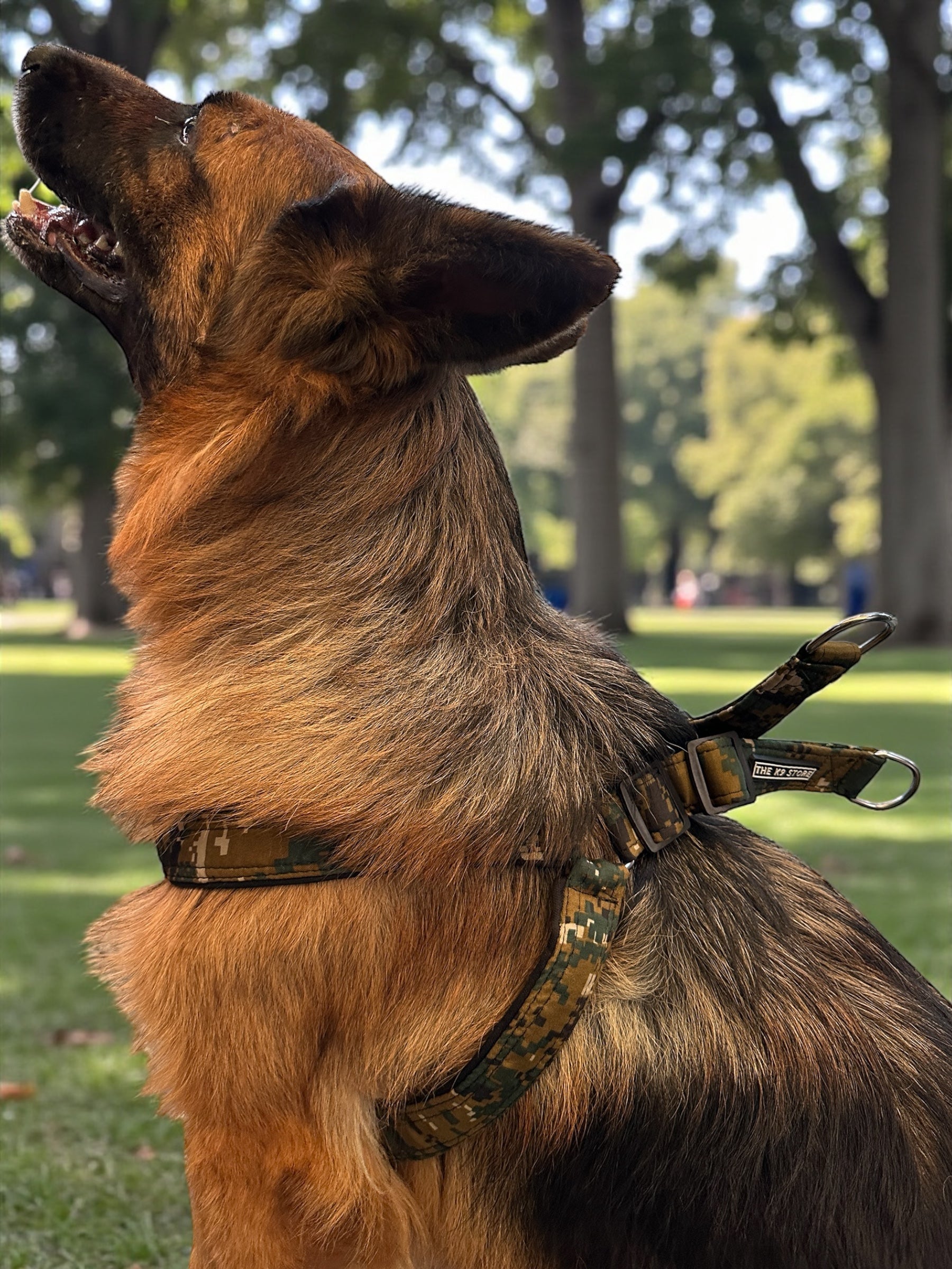 The K9 Store Camo Dog Harness & Leash Set (No-Pull, Heavy Duty) – Small / Medium / Large / XL